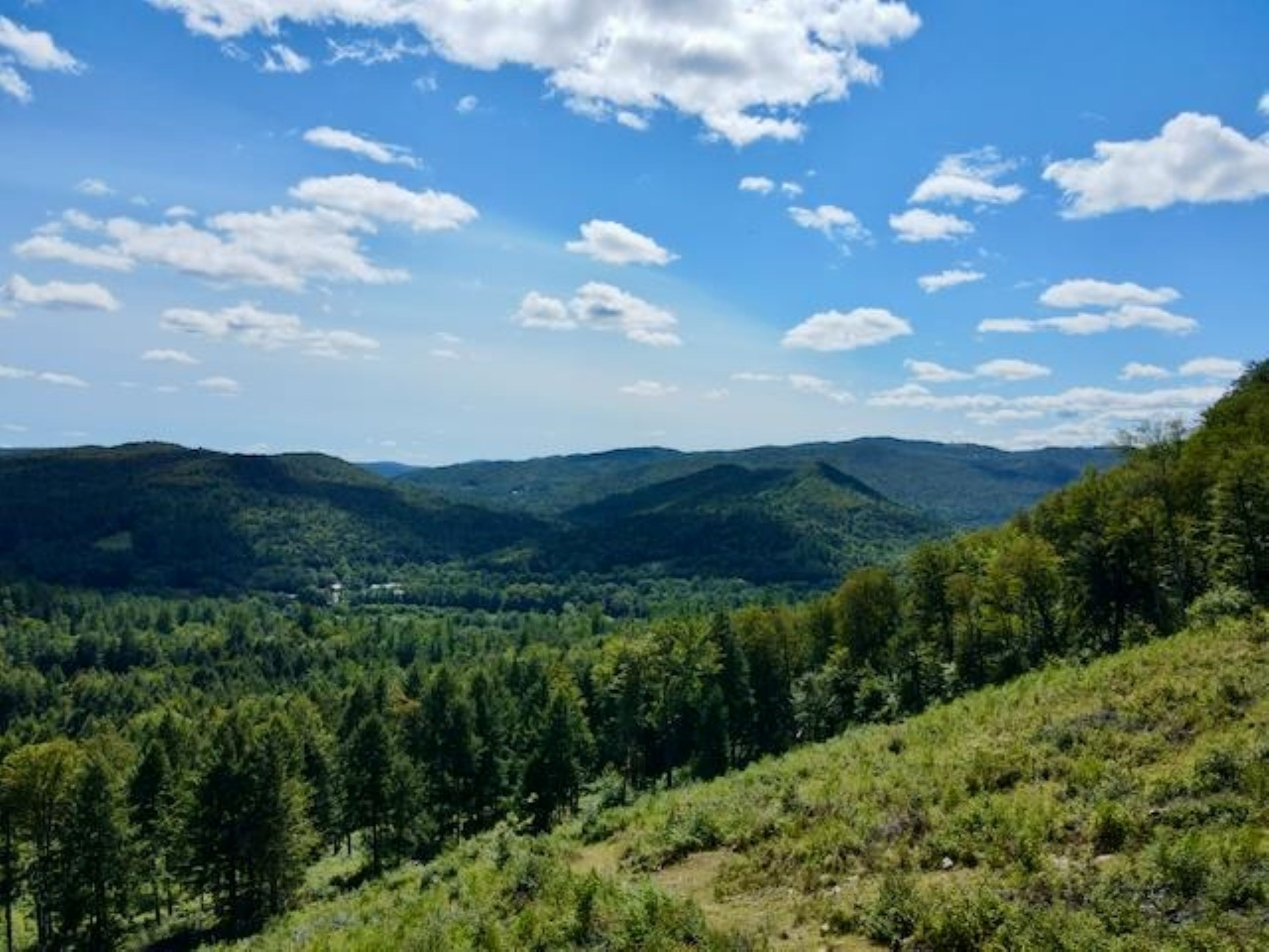  0 Peavine Boulevard - 物件實景