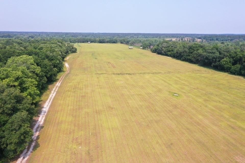 Quincy, Florida, 32351, United States, ,Land,For Sale,1983955