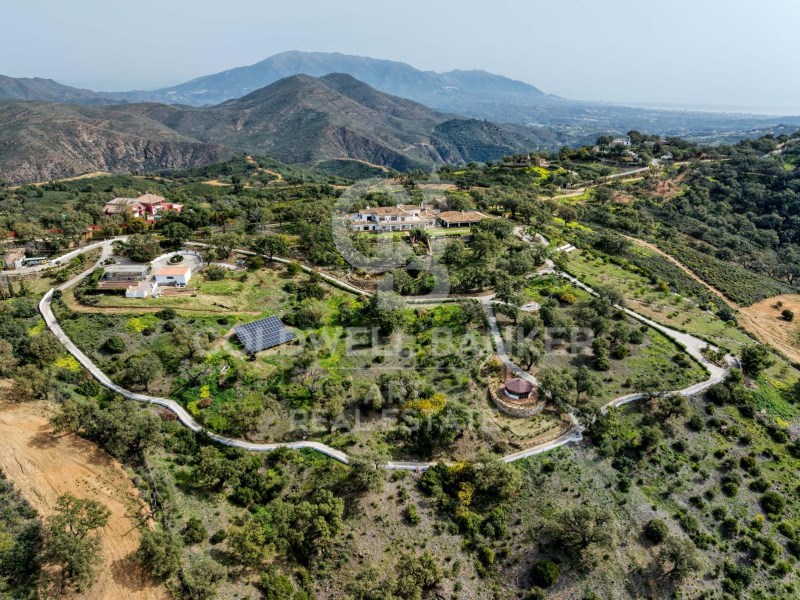 Marbella, Andalusia, ES, 7 Bedrooms Bedrooms, ,7 BathroomsBathrooms,Residential,For Sale,1939436