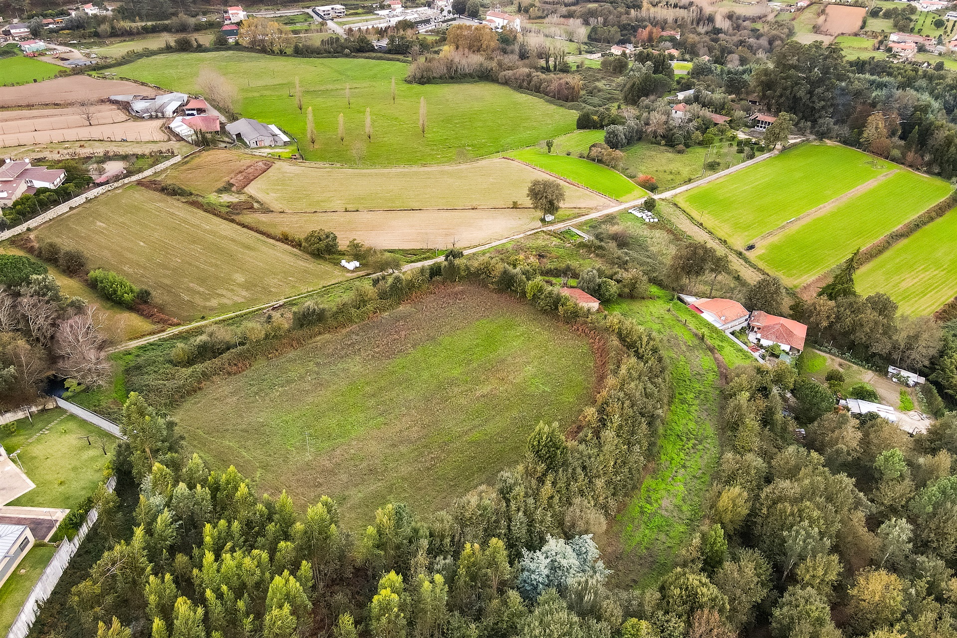 Farm, 6 bedrooms, for Sale - 物件實景