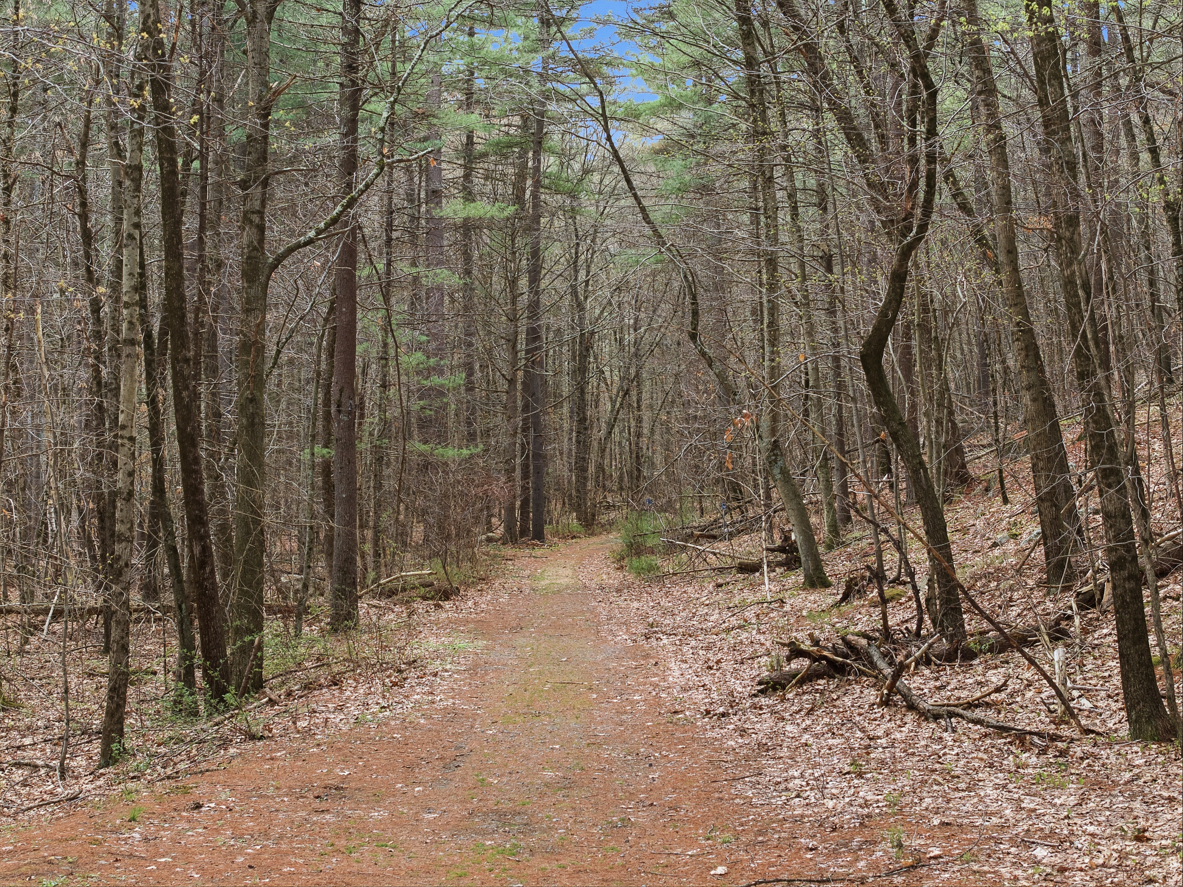  6 D Trail Ridge Way, Harvard, MA 01451 - 物件實景