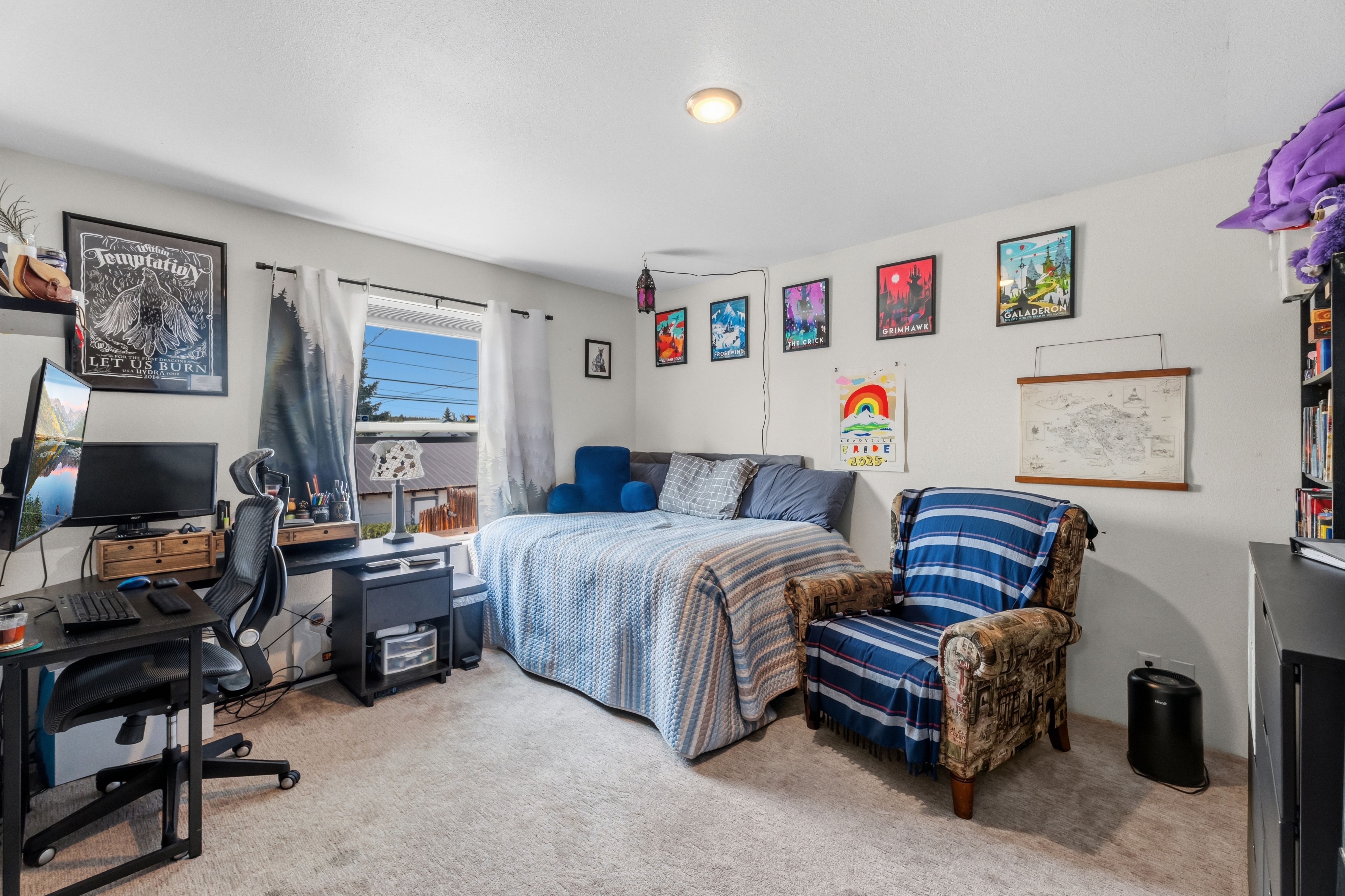  101 S Maple Street, Leadville, CO, 80461 - 物件實景