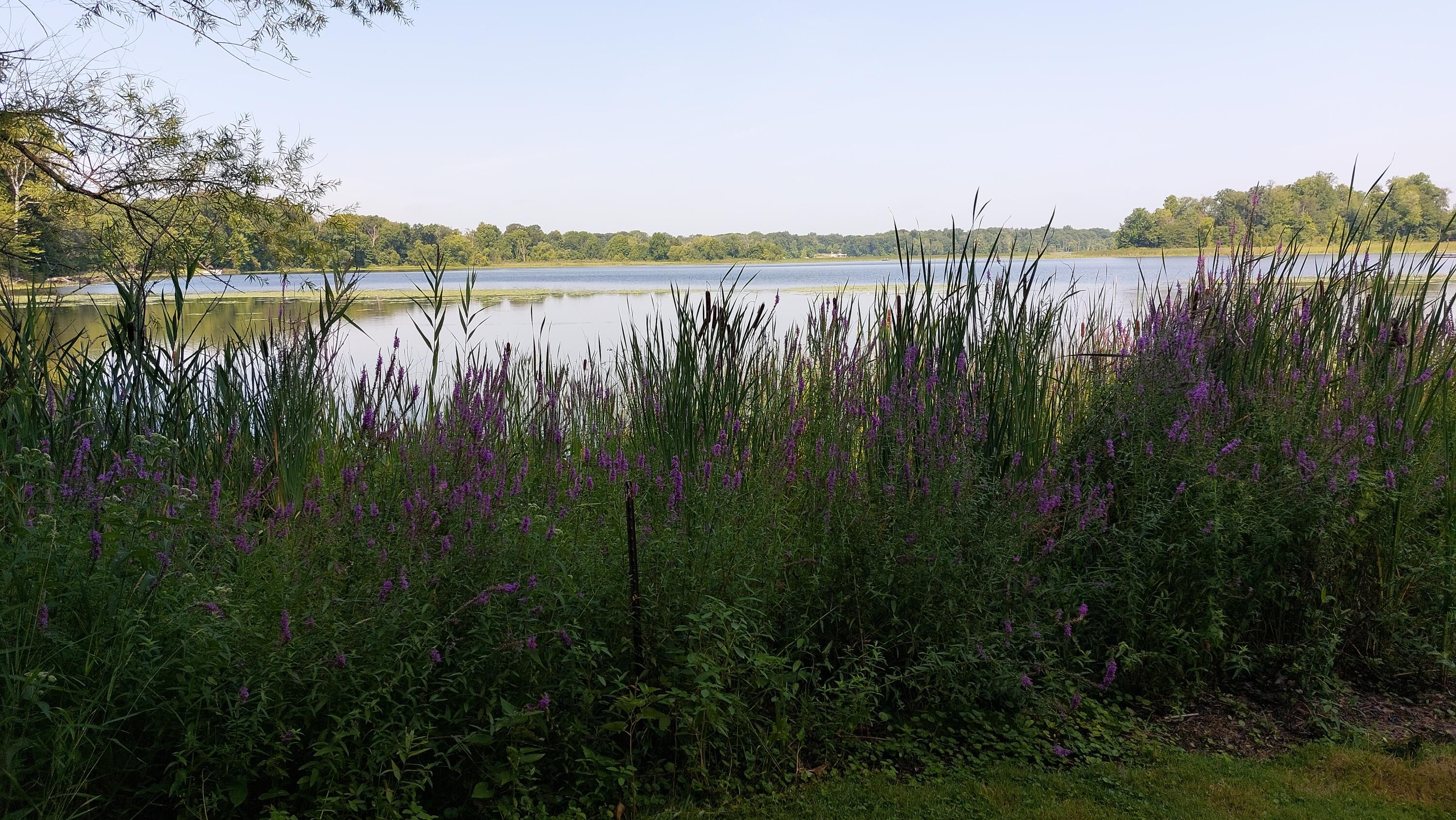 Dowagiac, Michigan, 49047, United States, 3 Bedrooms Bedrooms, ,2 BathroomsBathrooms,Residential,For Sale,1909140