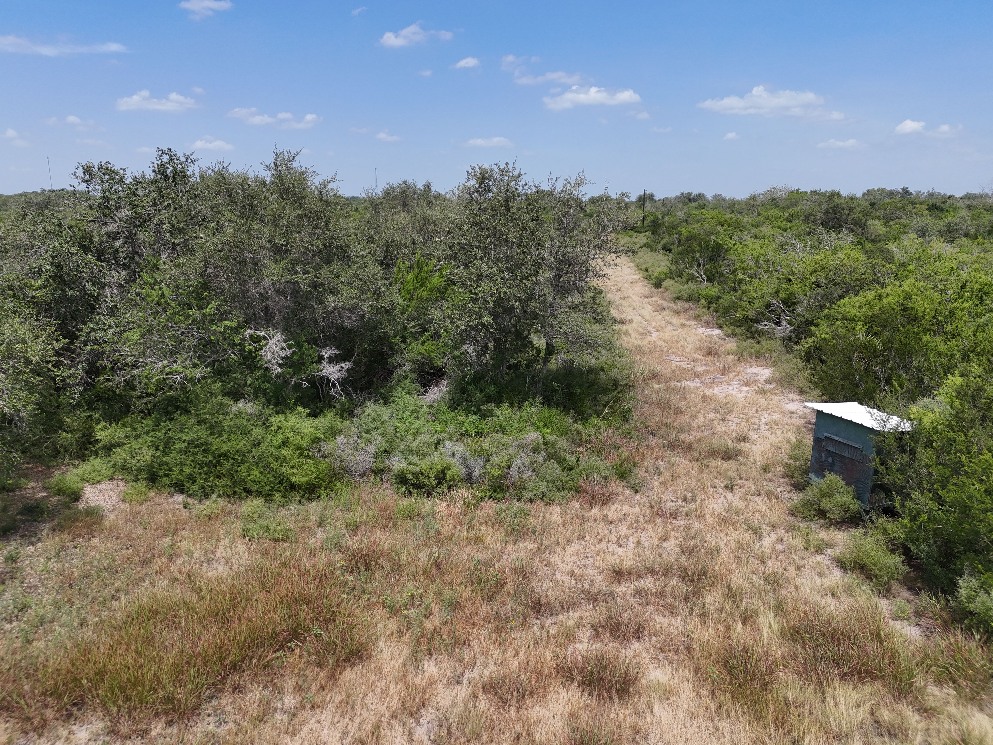  Old Houston Ranch, Bee County - 物件實景