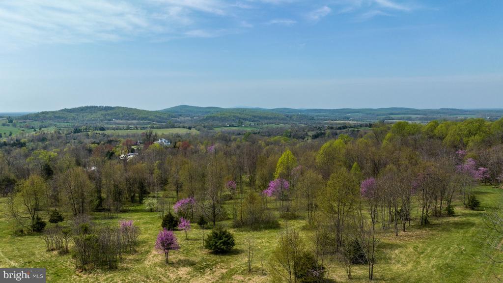 Rapidan, Virginia, 22733, United States, ,Land,For Sale,1979243