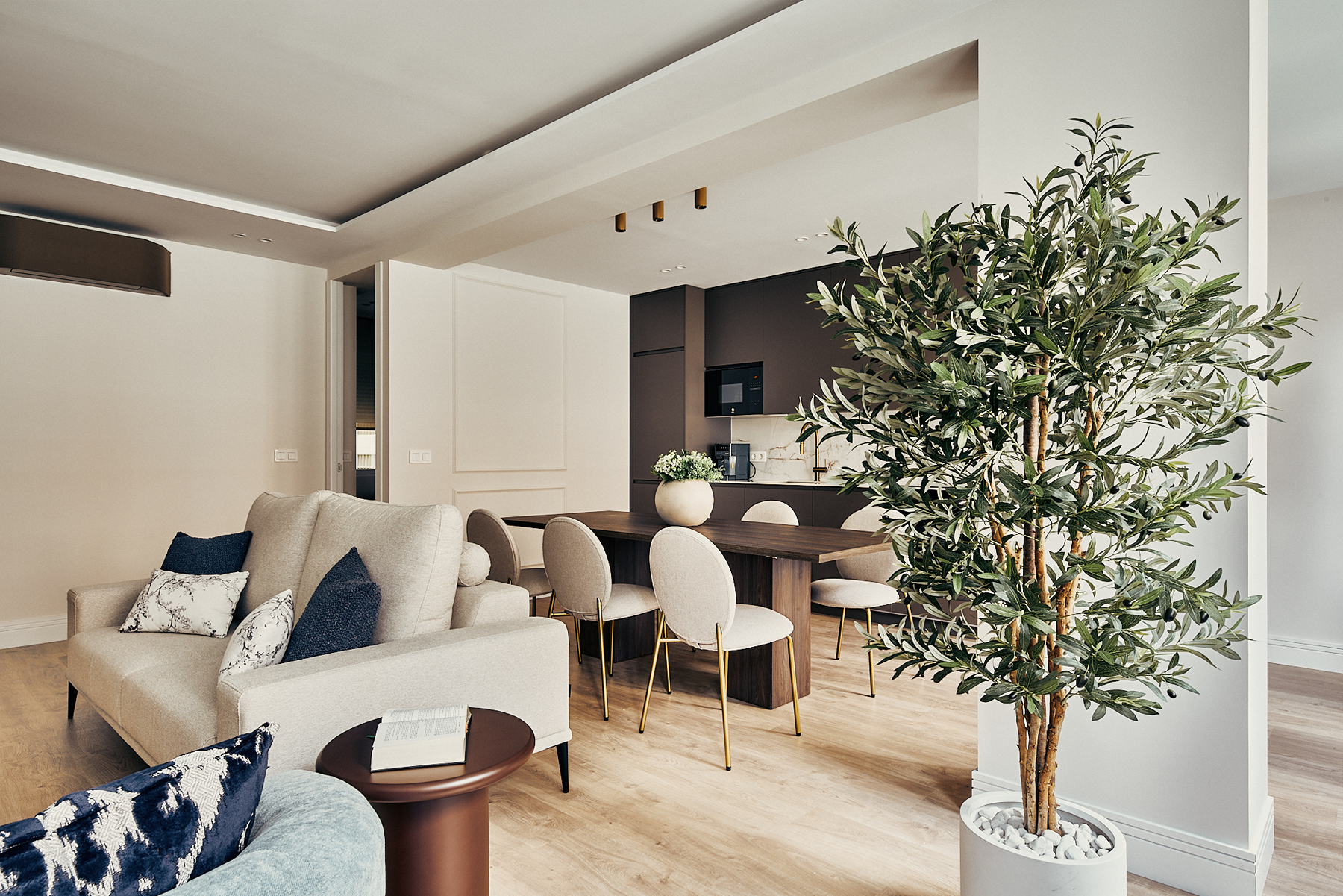  Renovated flat in Barrio de Salamanca, Madrid - 物件實景