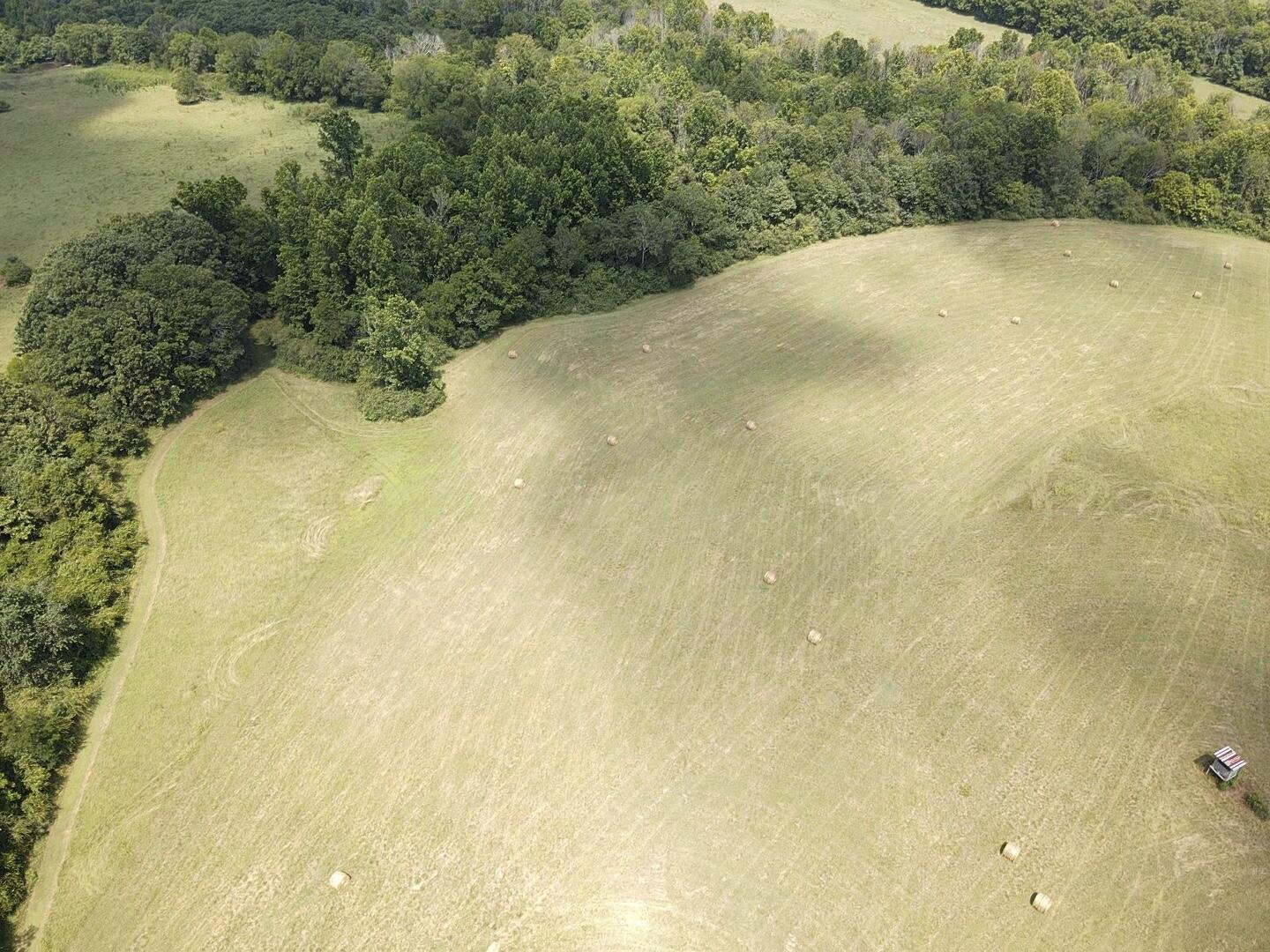 Bryant, Alabama, 35958, United States, ,Land,For Sale,1982684