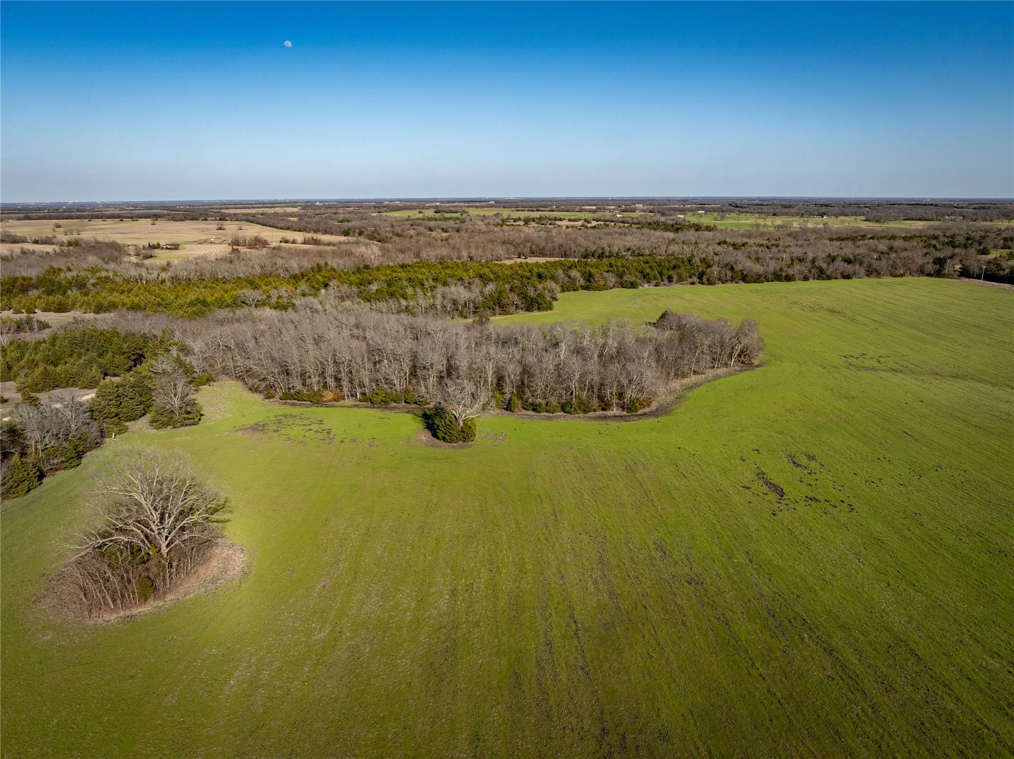 Roxton, Texas, 75477, United States, ,Residential,For Sale,1872354