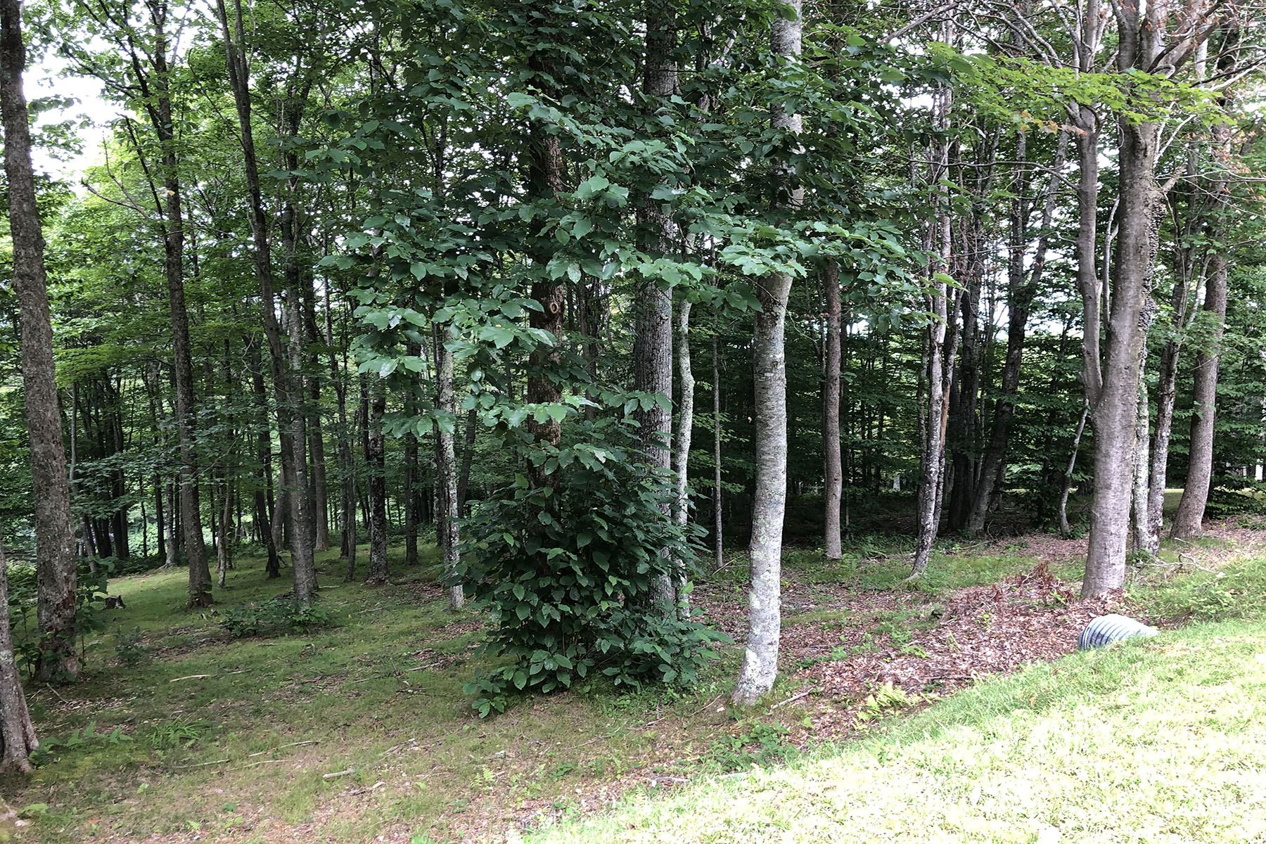  BANNER ELK - ROCKY KNOB - 物件實景
