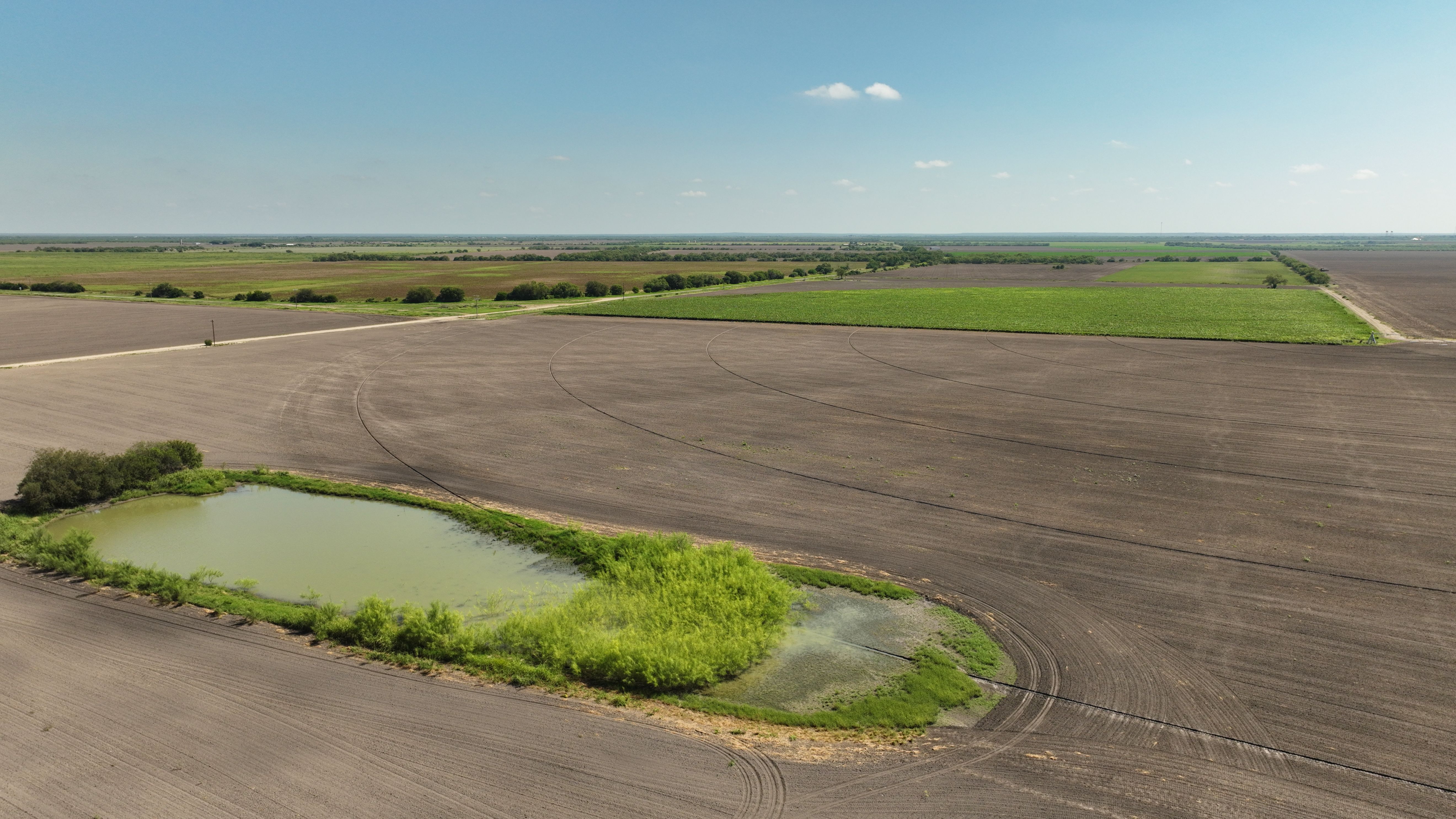  375+/- La Pryor Farm, Zavala County , La Pryor, TX 78872 - 物件實景