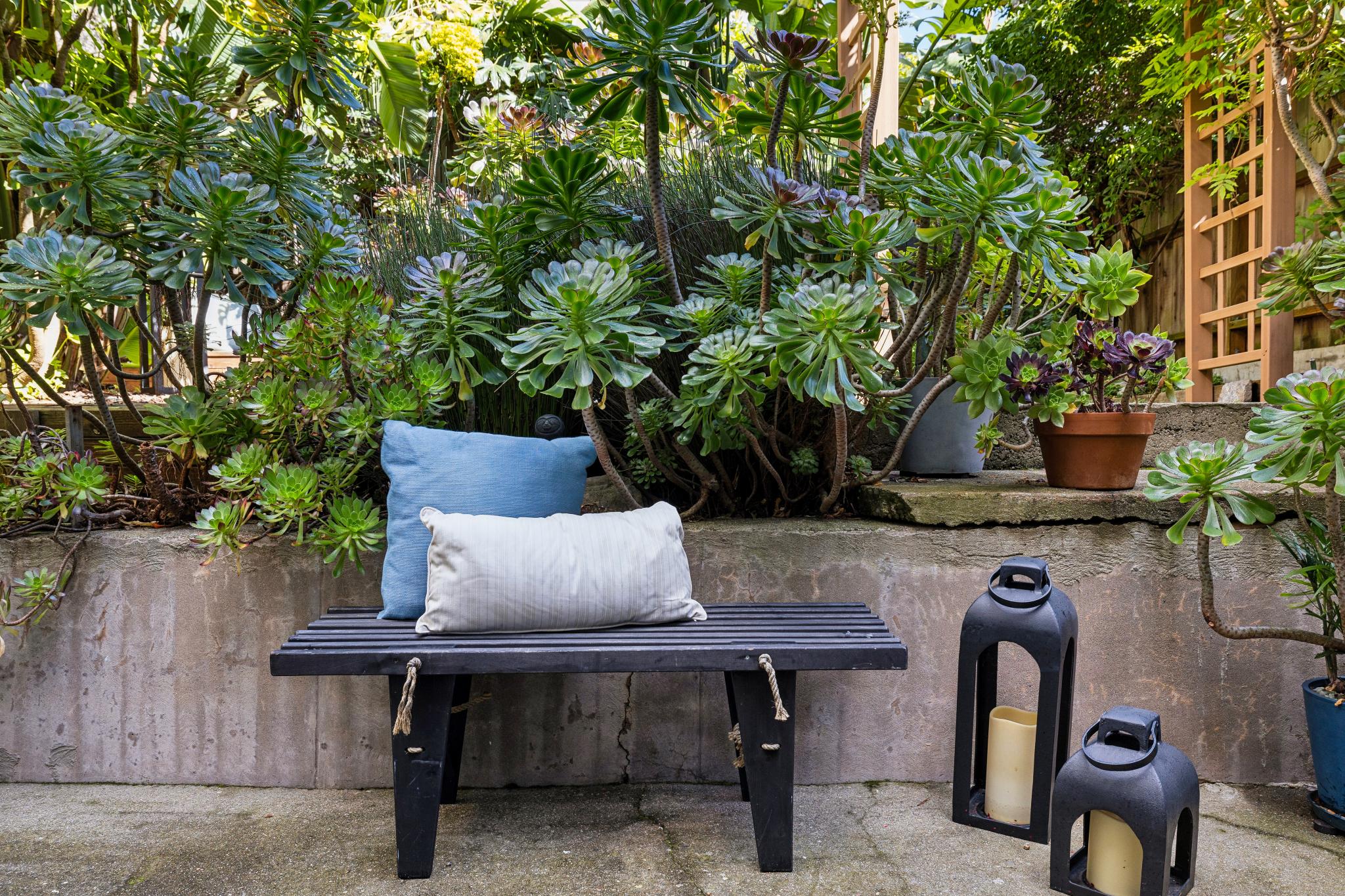  A Noe Valley Charmer - 物件實景