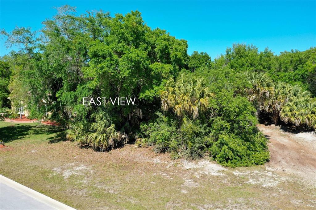 Palm Coast, Florida, 32137, United States, ,Land,For Sale,1723733