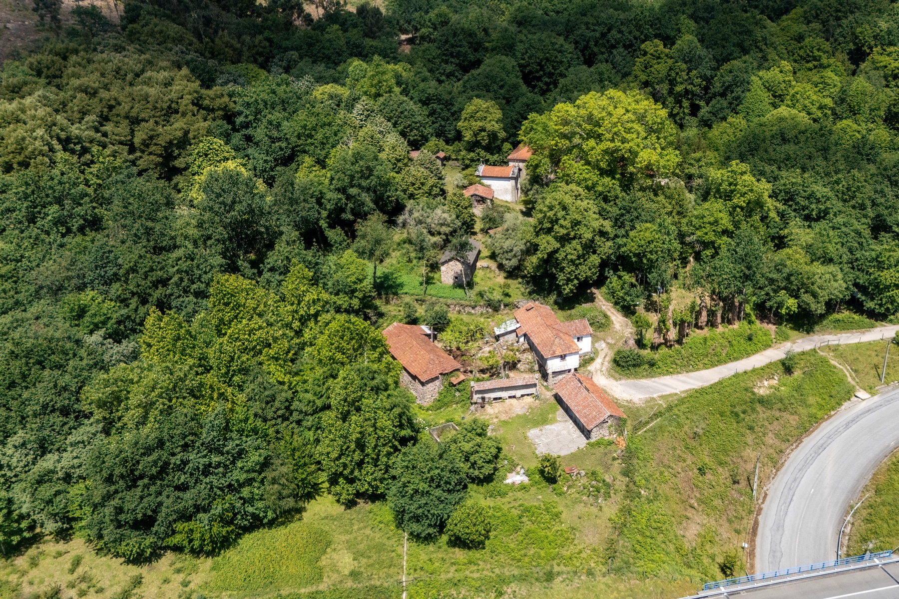 Farm for Sale - 物件實景