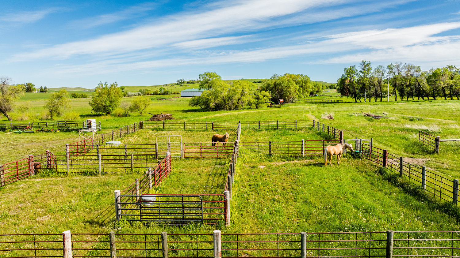 Buffalo, Wyoming, 82834, United States, 4 Bedrooms Bedrooms, ,2 BathroomsBathrooms,Residential,For Sale,1980816