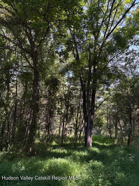 Hurley, New York, 12443, United States, ,Residential,For Sale,1940966