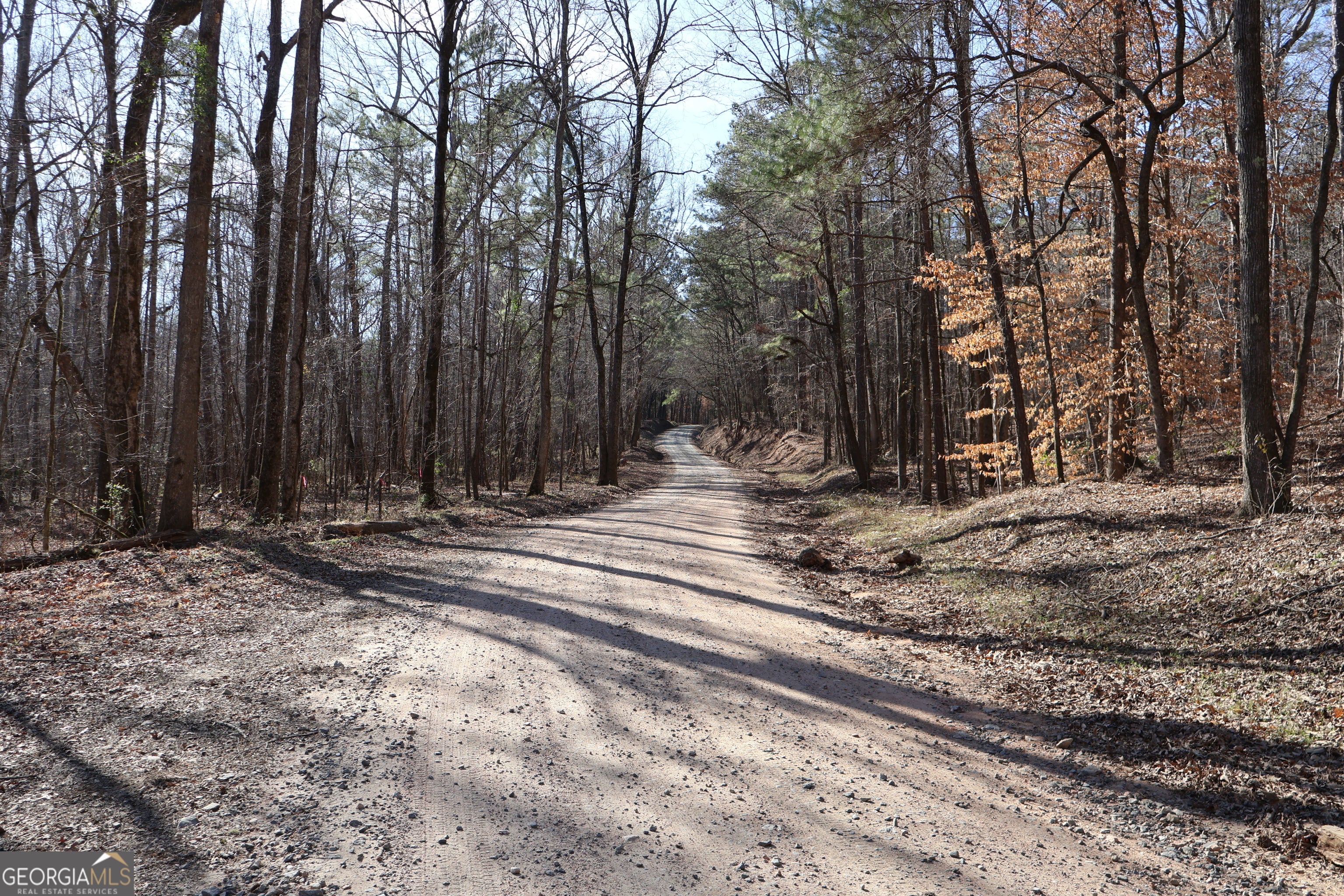 Forsyth, Georgia, 31029, United States, ,Land,For Sale,1858913