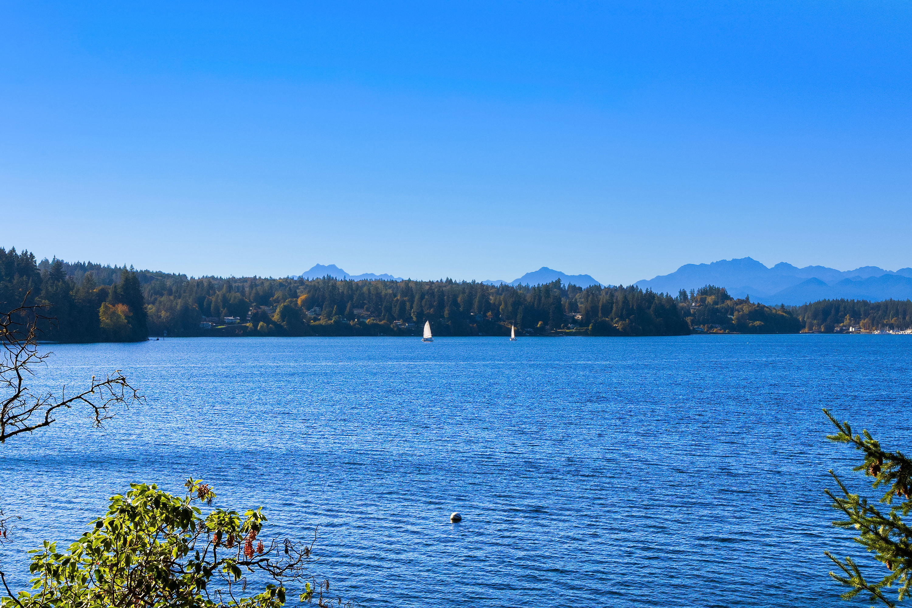  8405 Hansen Road Northeast, Bainbridge Island, WA 98110 - 物件實景