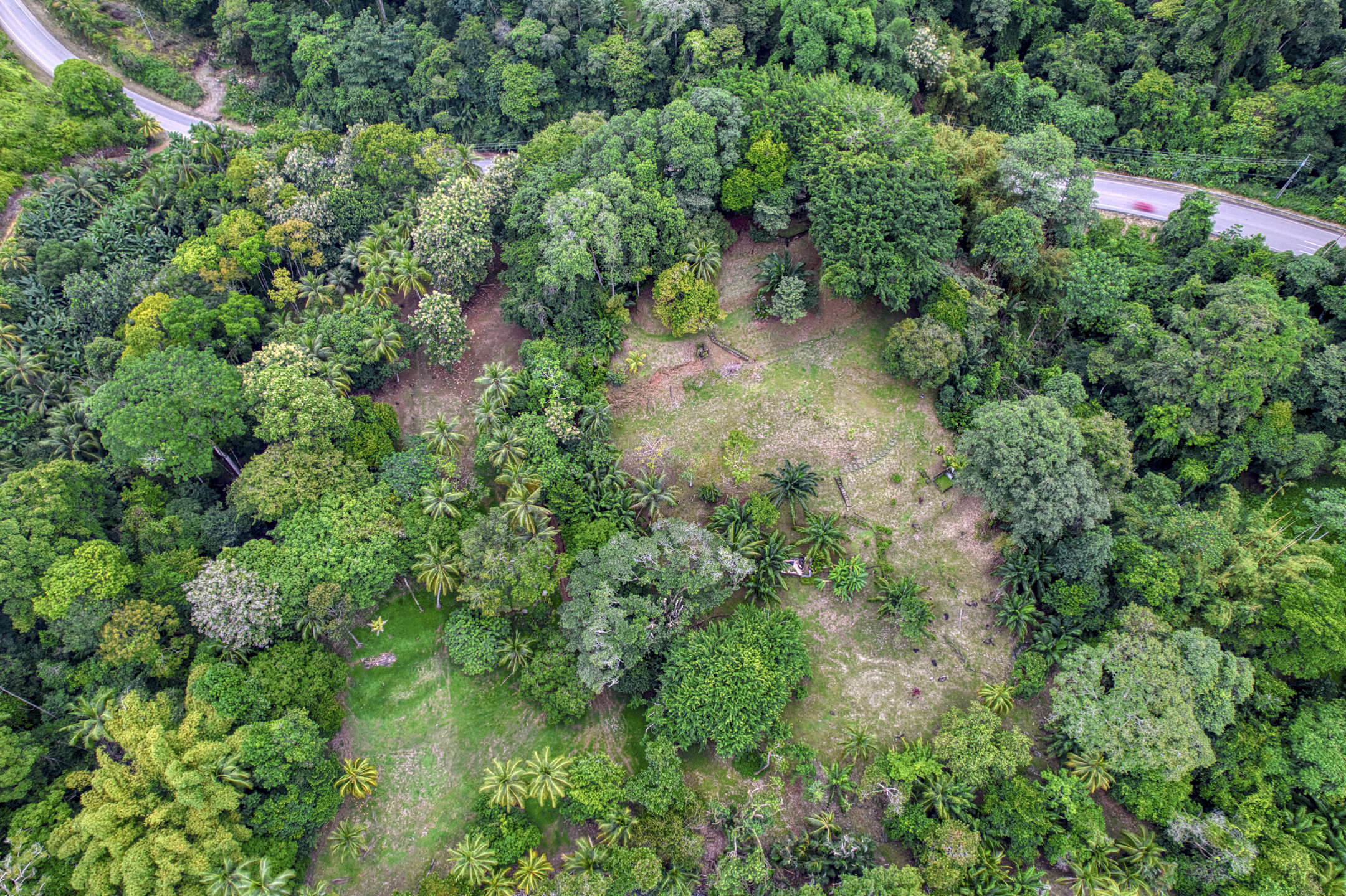 Dominical, Puntarenas, CR, ,Land,For Sale,1839872