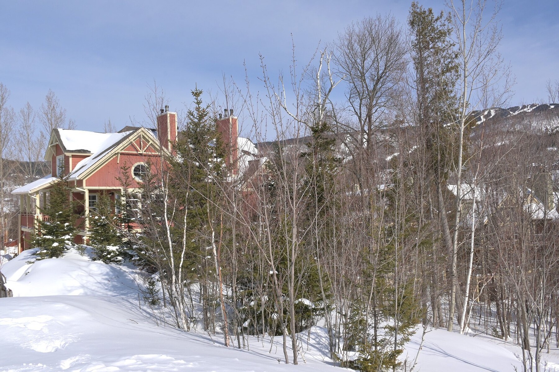  Mont-Tremblant, Laurentides - 物件實景