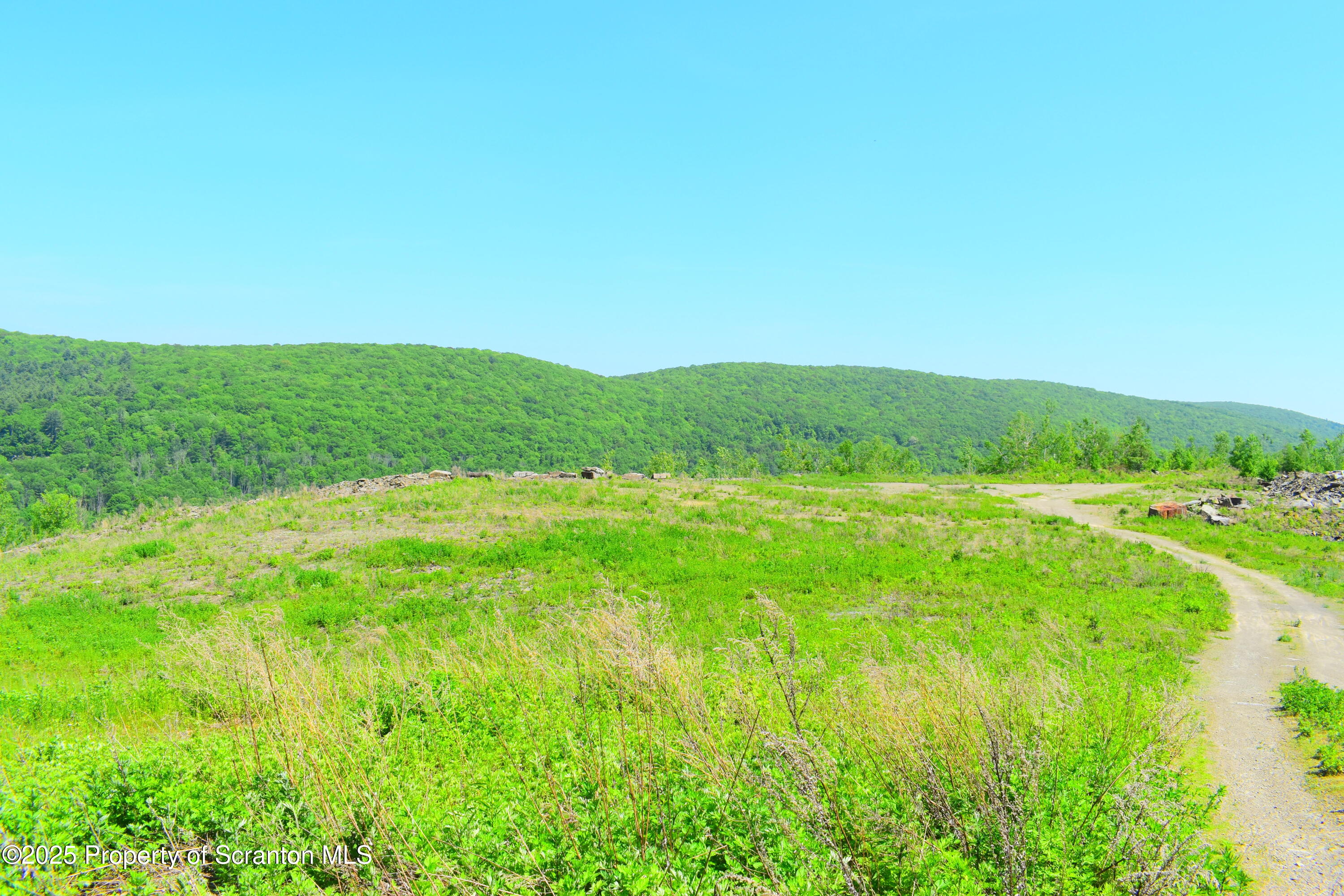 State Route 92, Susquehanna, Pennsylvania, 18847, United States, ,Land,For Sale,State Route 92,1665959