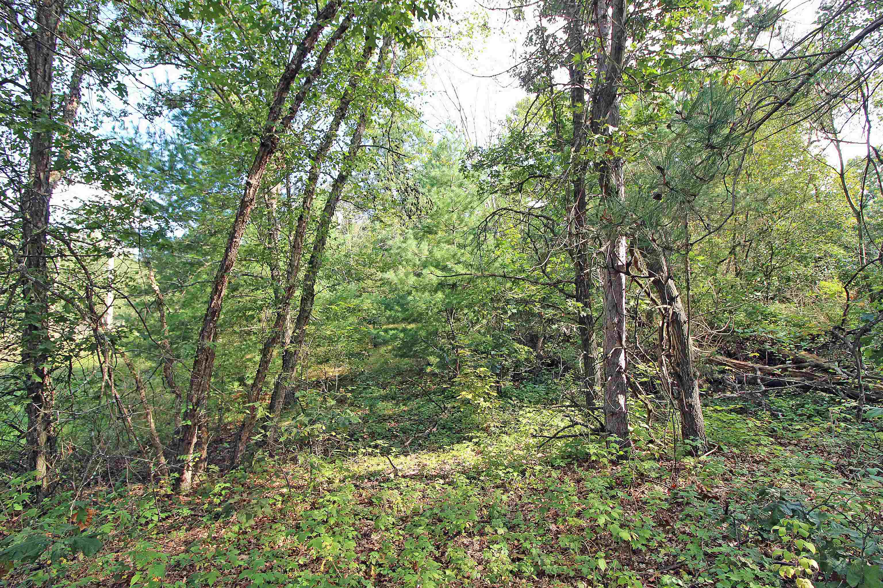 Arena, Wisconsin, 53503, United States, 3 Bedrooms Bedrooms, ,2 BathroomsBathrooms,Residential,For Sale,1980037