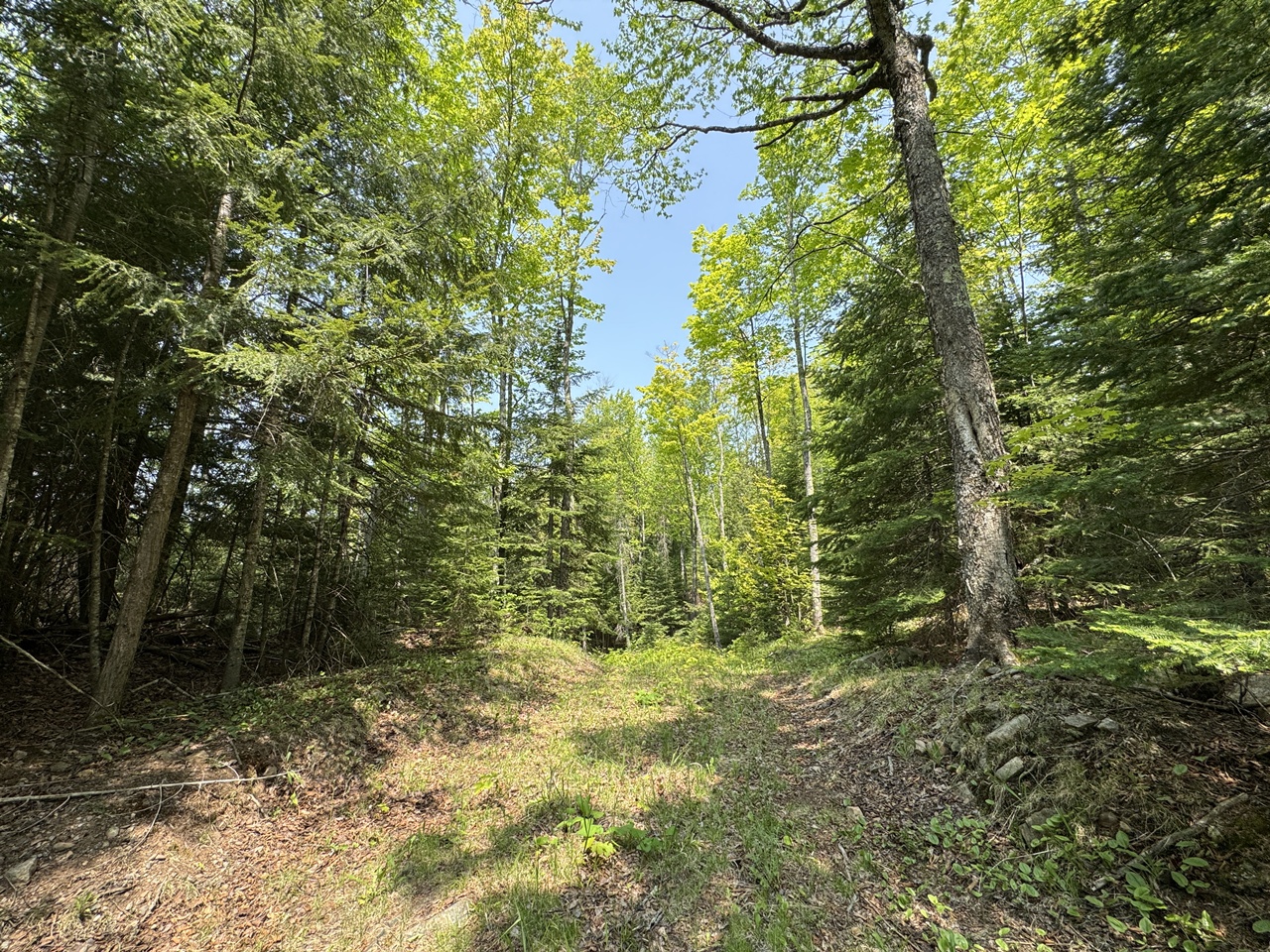 Oma, Wisconsin, 54534, United States, ,Residential,For Sale,1920346