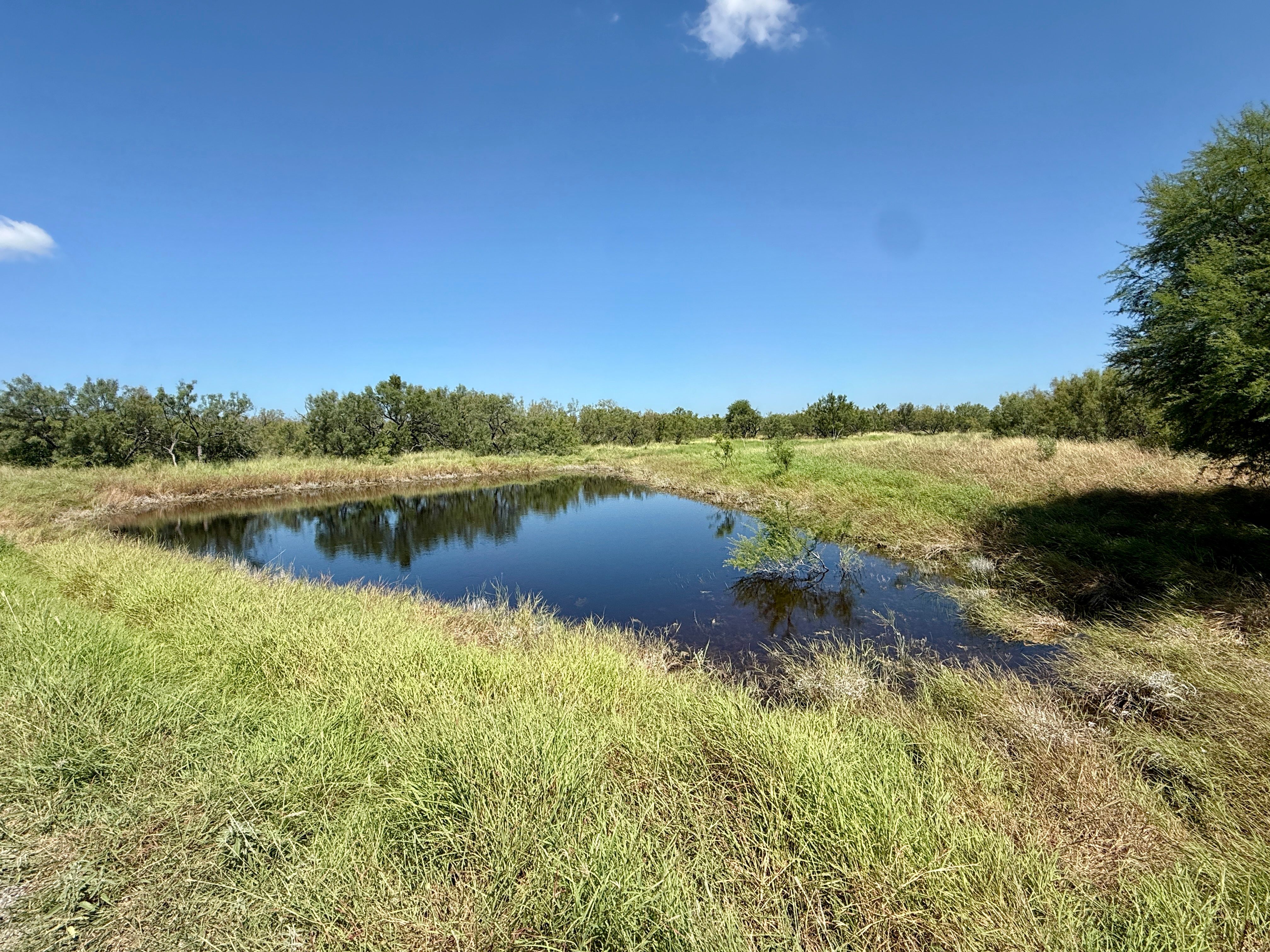  7, 902 +/- Las Moras Creek - 物件實景