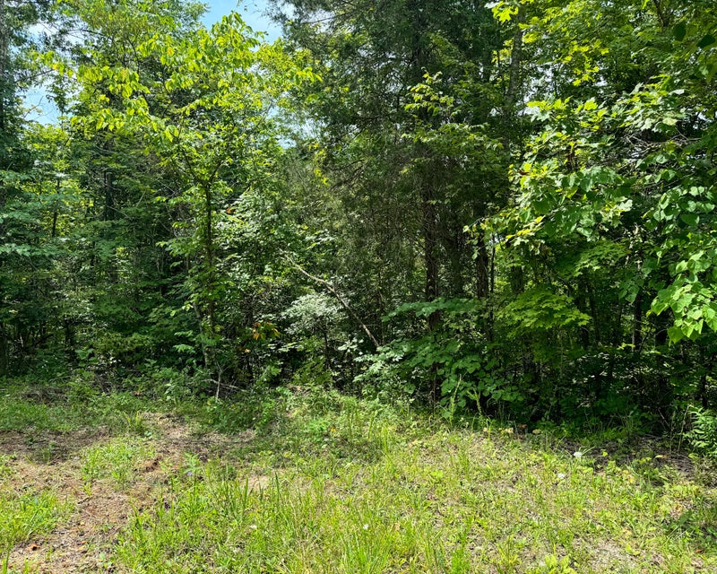 Somerset, Kentucky, 42501, United States, ,Residential,For Sale,1923151