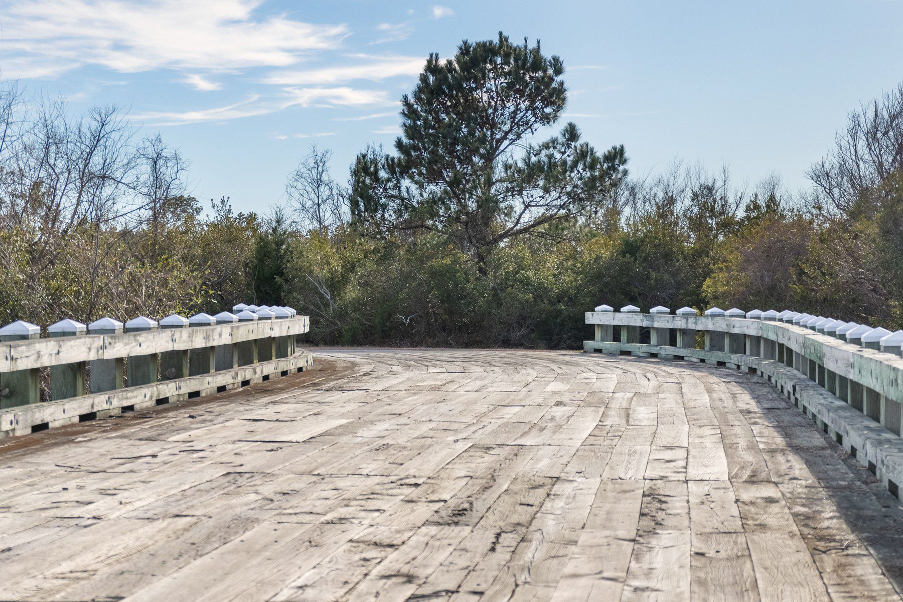  237 Marshside Landing, Holly Ridge, NC 28445 - 物件實景