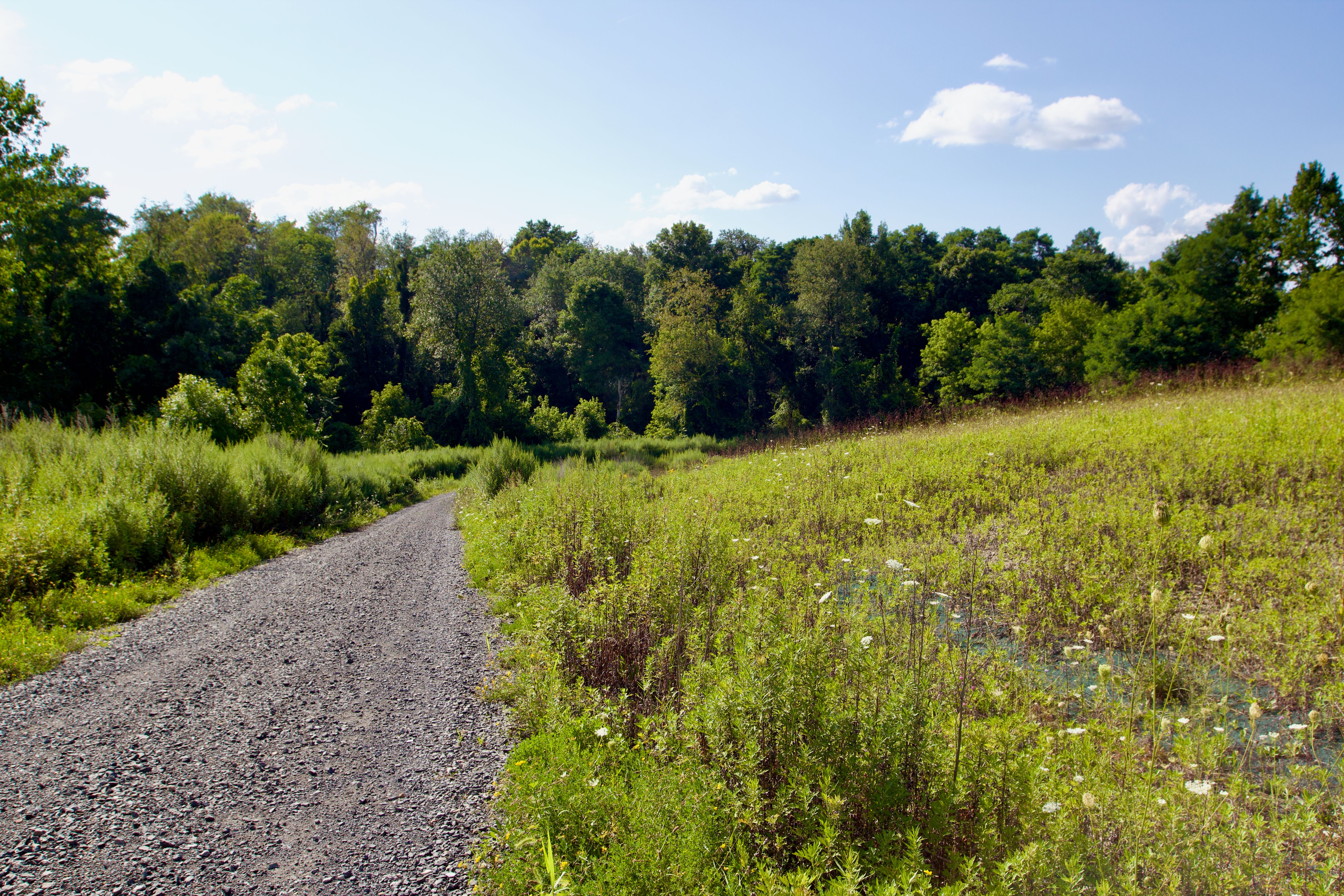  82 Turkey Hill Road, Clermont, NY 12571 - 物件實景