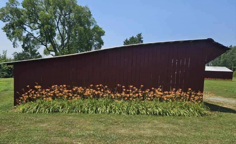 Drakes Branch, Virginia, 23937, United States, 4 Bedrooms Bedrooms, ,3 BathroomsBathrooms,Residential,For Sale,1982954