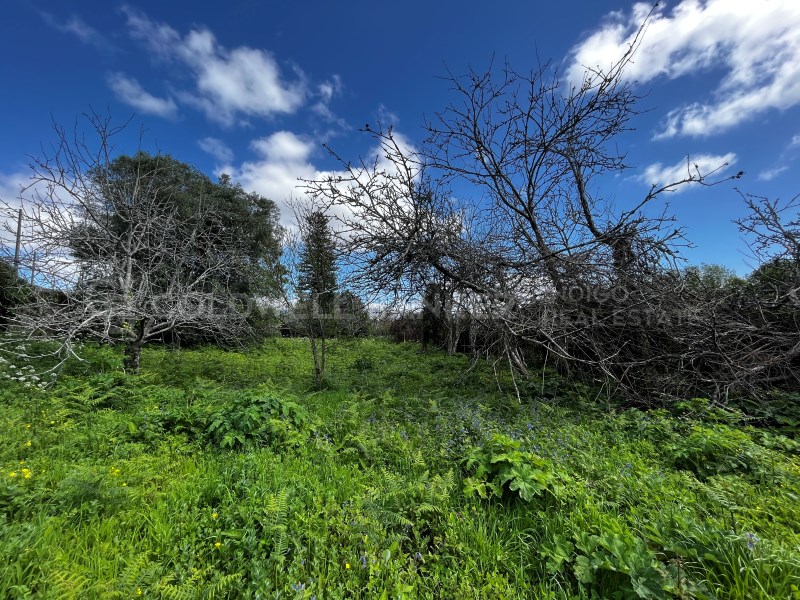 Pontevedra, Moa?a, Moa?a (San Marti?o P. E Virxe d, Moaña, Galicia, ES, 7 Bedrooms Bedrooms, ,2 BathroomsBathrooms,Residential,For Sale,Pontevedra, Moa?a, Moa?a (San Marti?o P. E Virxe d,1623275