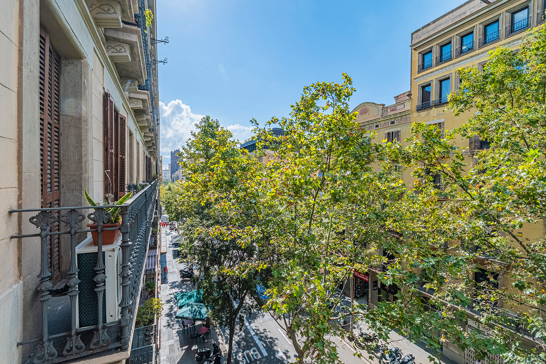  Beautiful brand-new flat next to Consell de Cent - 物件實景