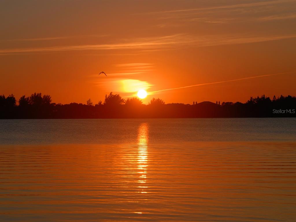 771 John Ringling Boulevard Unit 22FAIR, Sarasota, Florida, 34236, United States, 2 Bedrooms Bedrooms, ,2 BathroomsBathrooms,Residential,For Sale,771 John Ringling Boulevard Unit 22FAIR,1626949