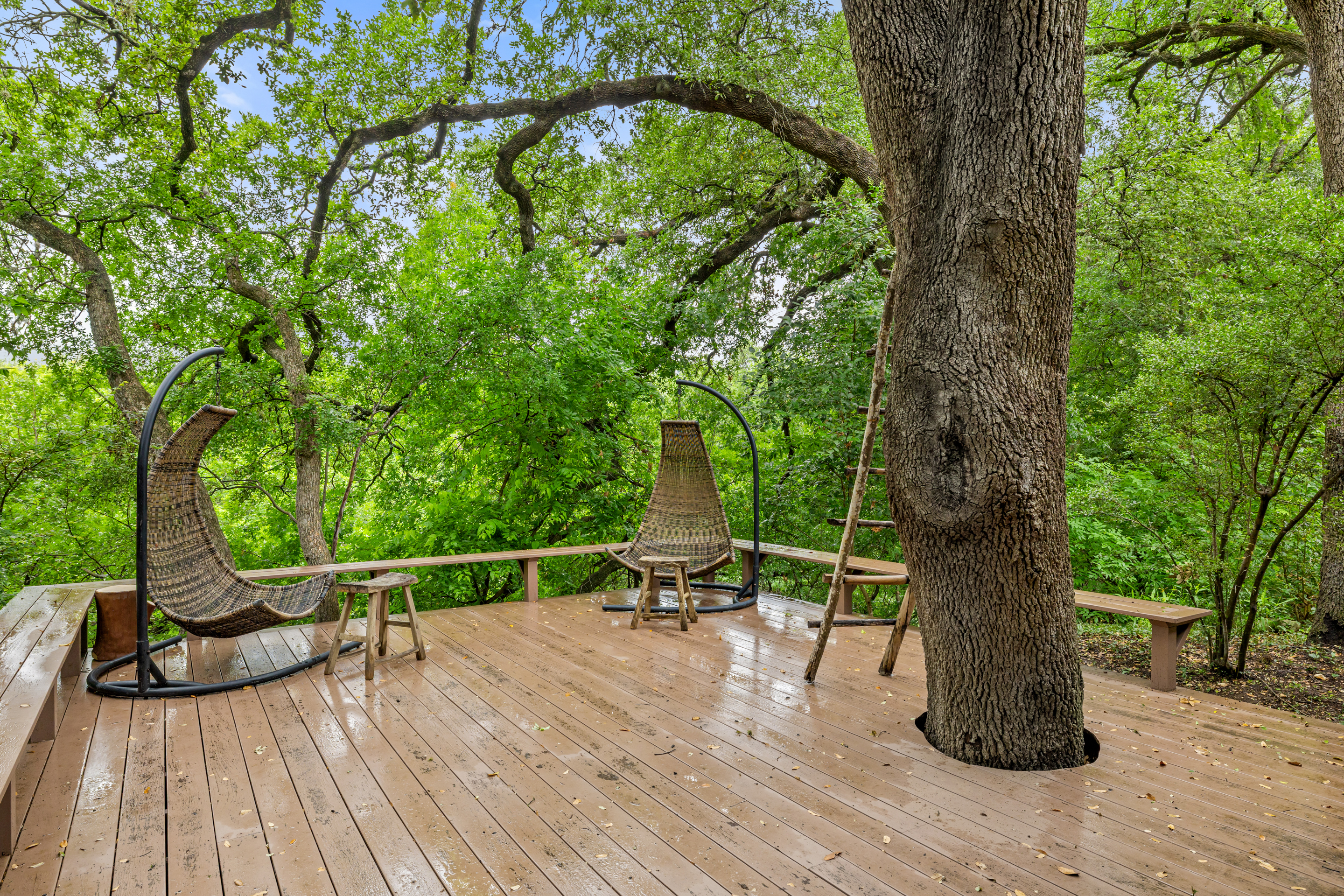  Sprawling Shoal Creek Retreat with Rare Privacy in Central Austin - 物件實景