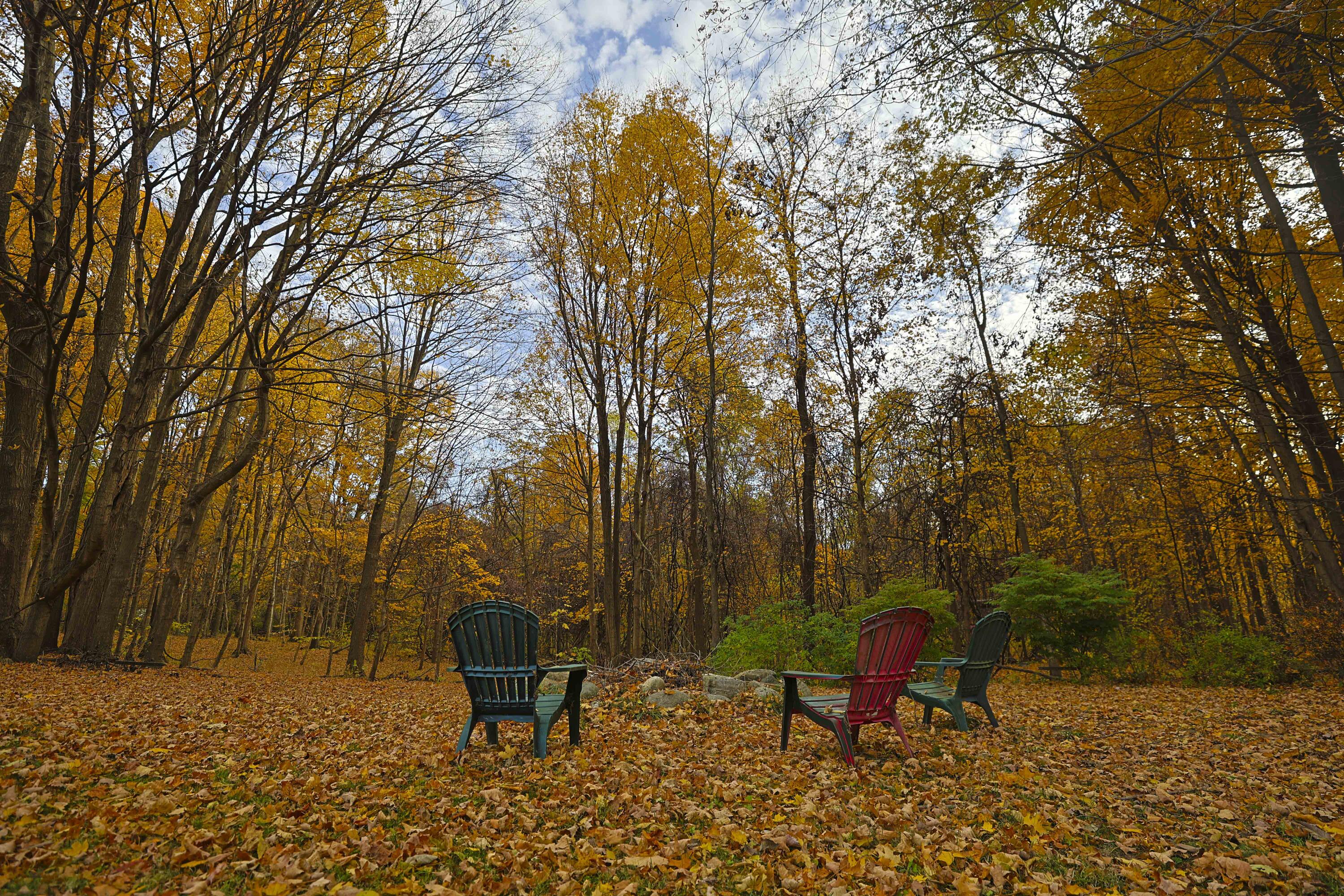 Cassopolis, Michigan, 49031, United States, 3 Bedrooms Bedrooms, ,2 BathroomsBathrooms,Residential,For Sale,1987063