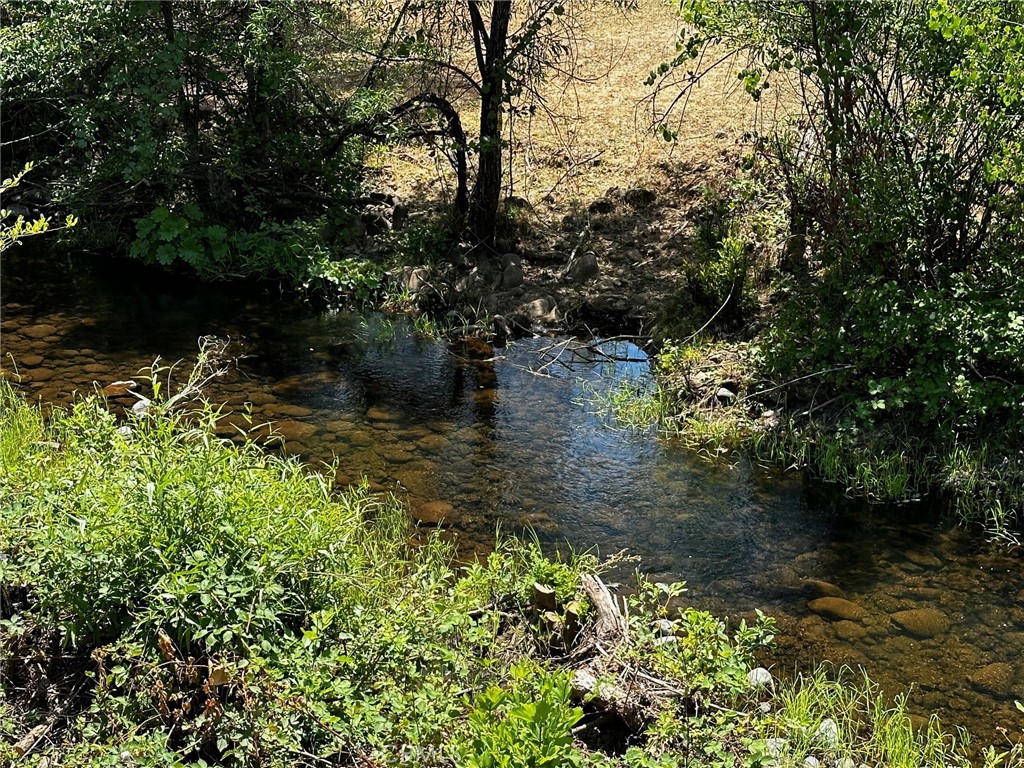 Chico, California, 95928, United States, ,Land,For Sale,1974273