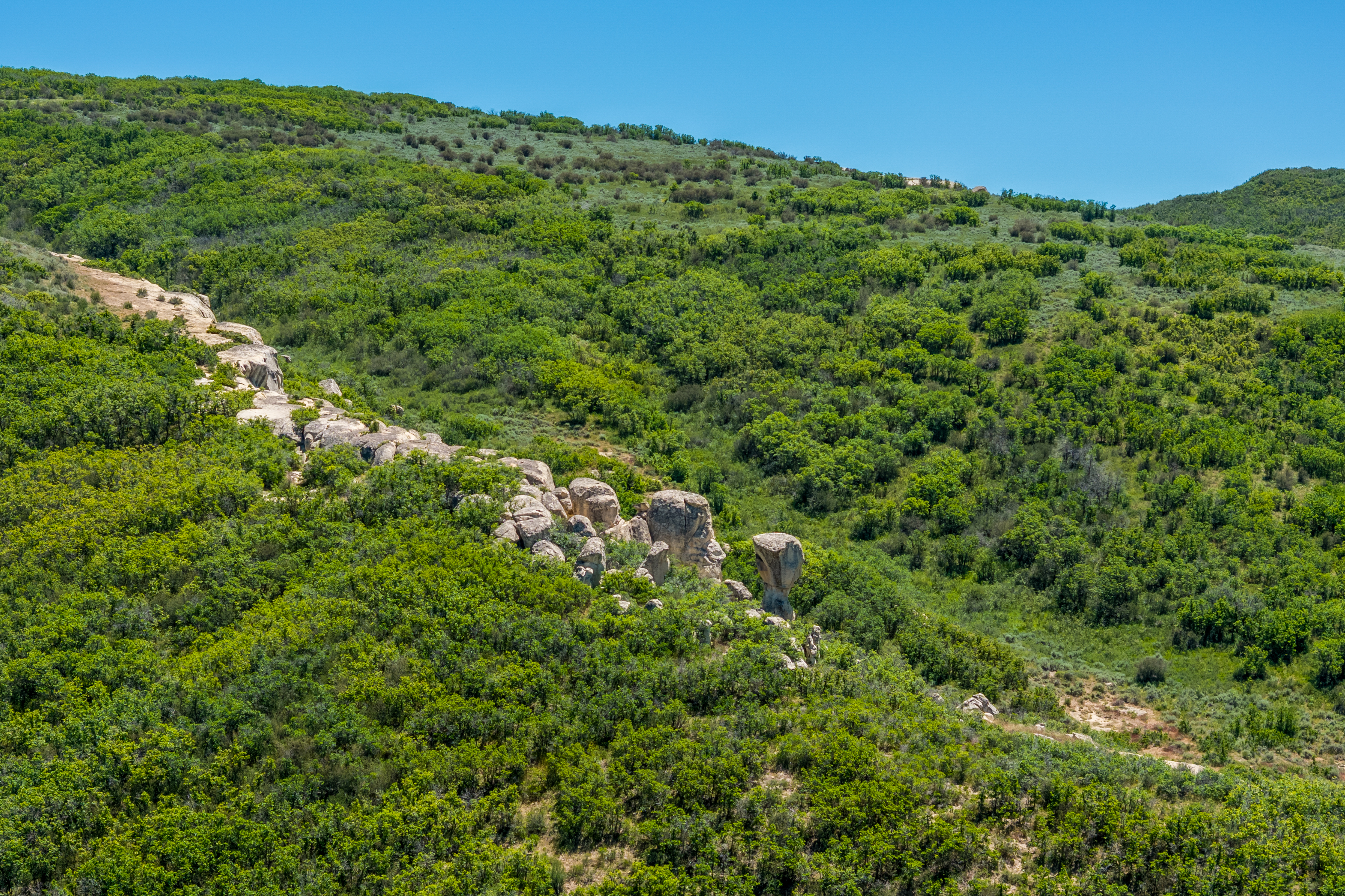  37020 Sedgewick Place, Hayden, CO 81639 - 物件實景