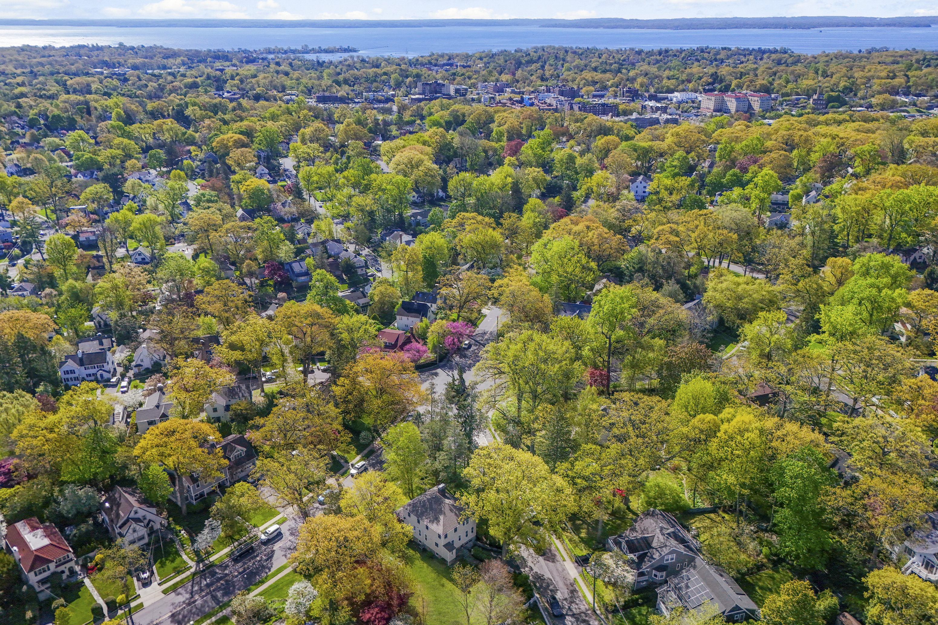  Distinctive Larchmont Colonial - 物件實景