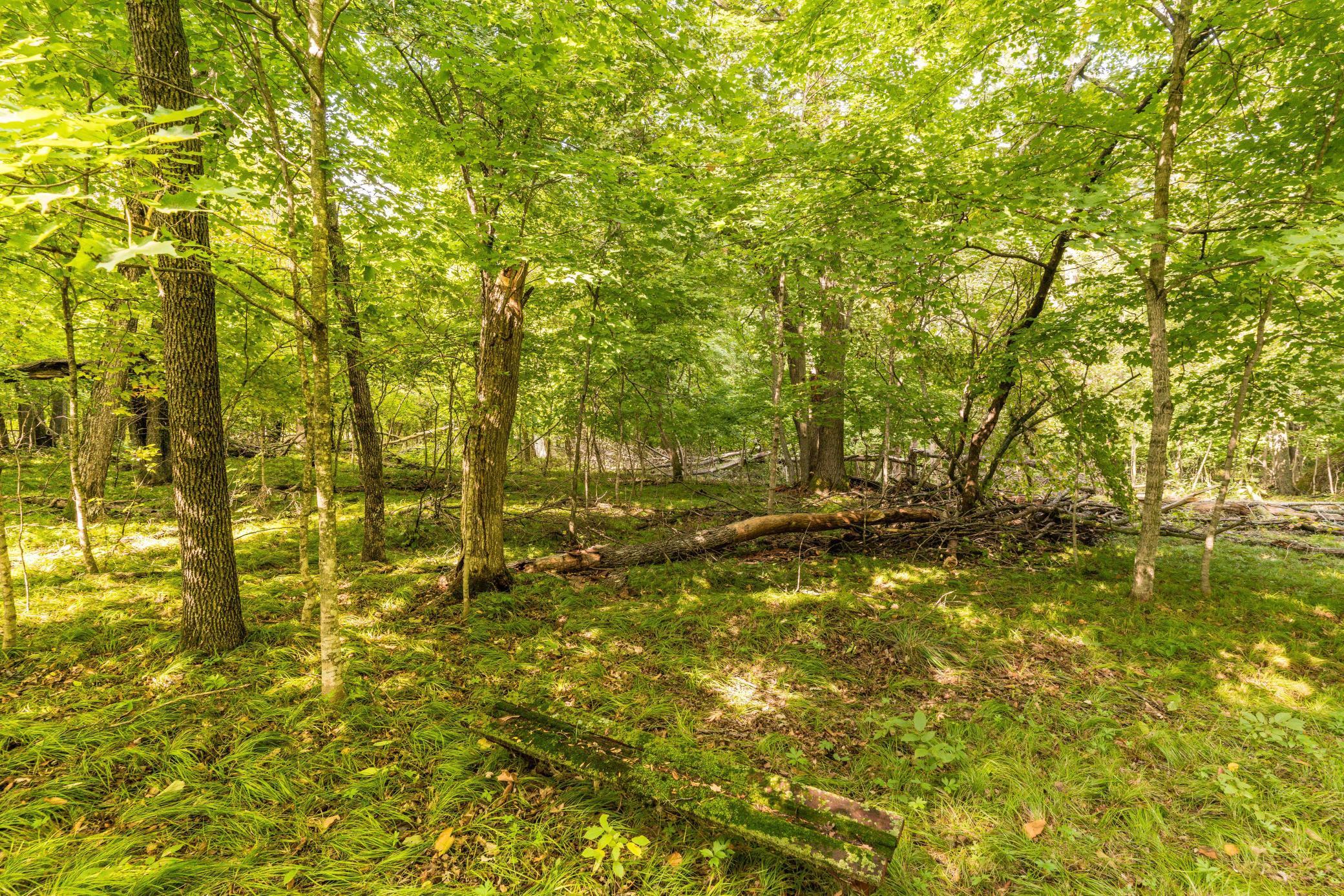 Dent, Minnesota, 56528, United States, ,Residential,For Sale,1921430