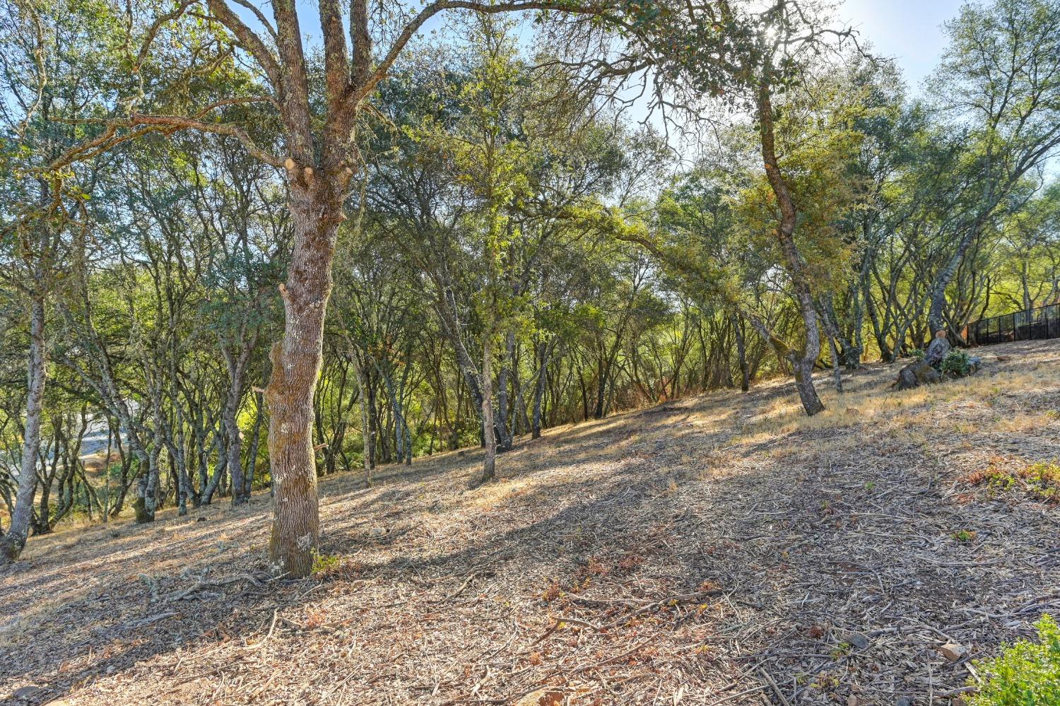 El Dorado Hills, California, 95762, United States, ,Land,For Sale,1993227