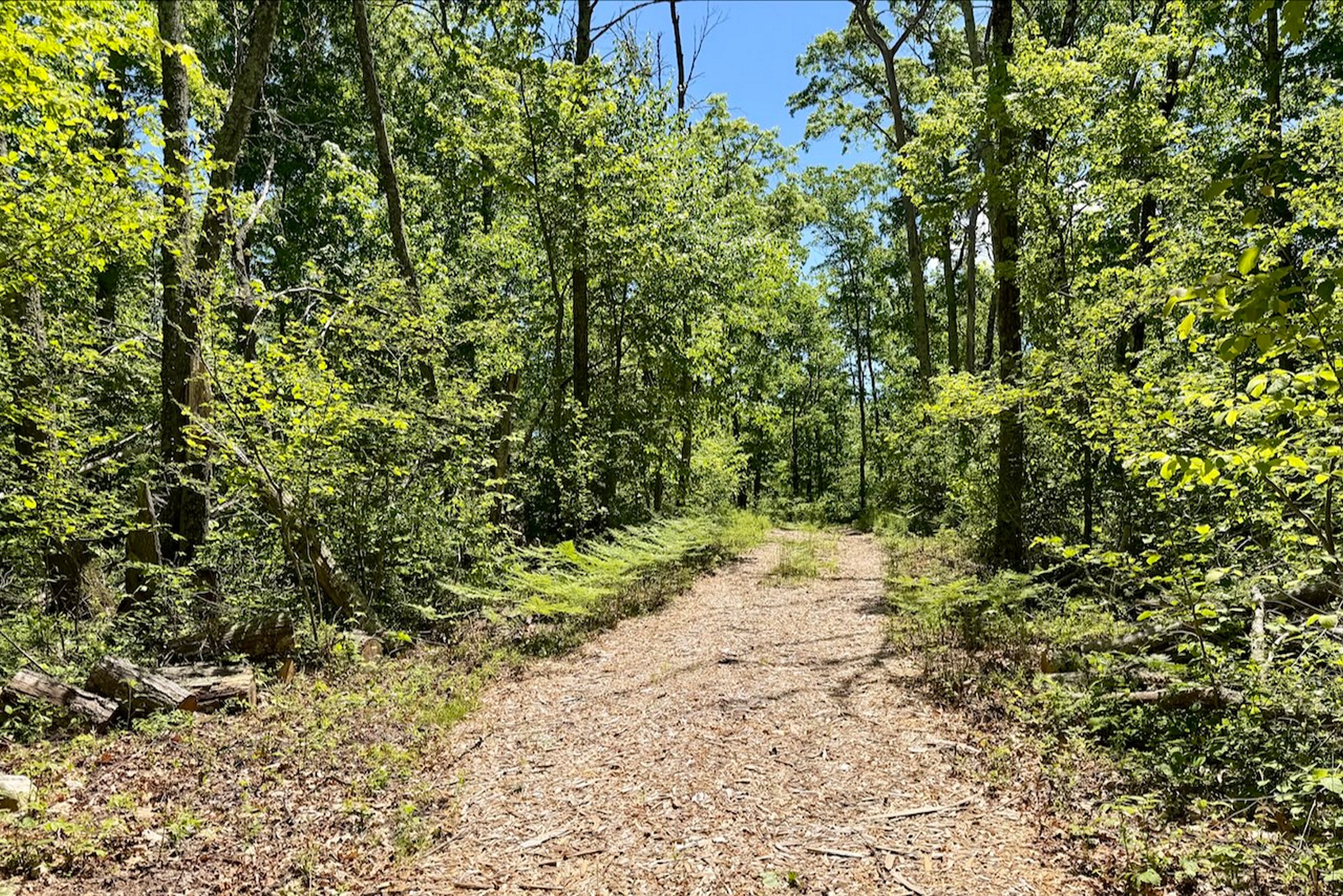  Swaller Hill Road - 物件實景
