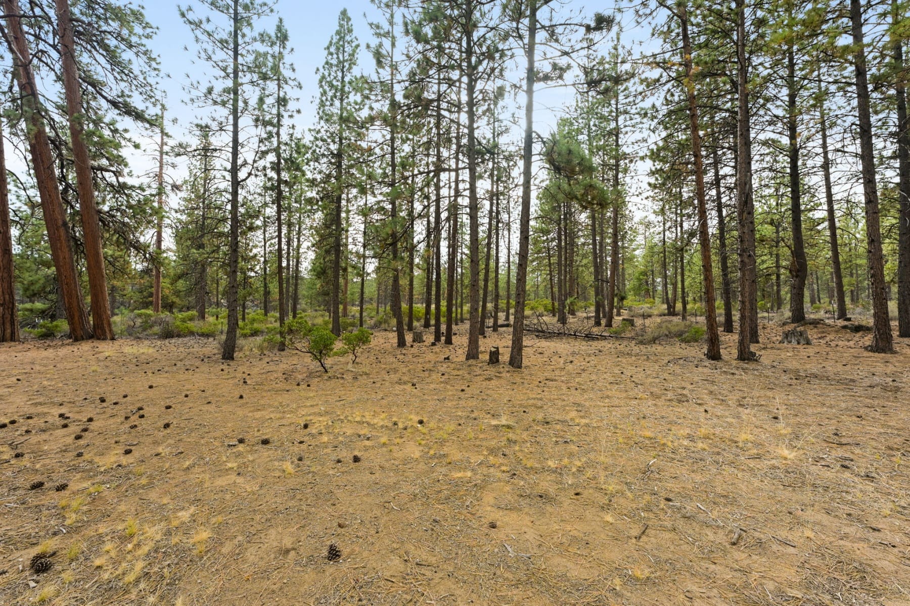  19202 Cherokee Road Bend, OR 97702 - 物件實景