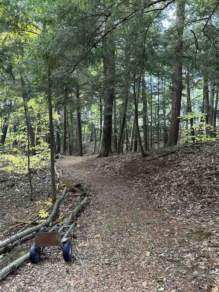 Harbor Springs, Michigan, 49740-9999, United States, ,Land,For Sale,1987647