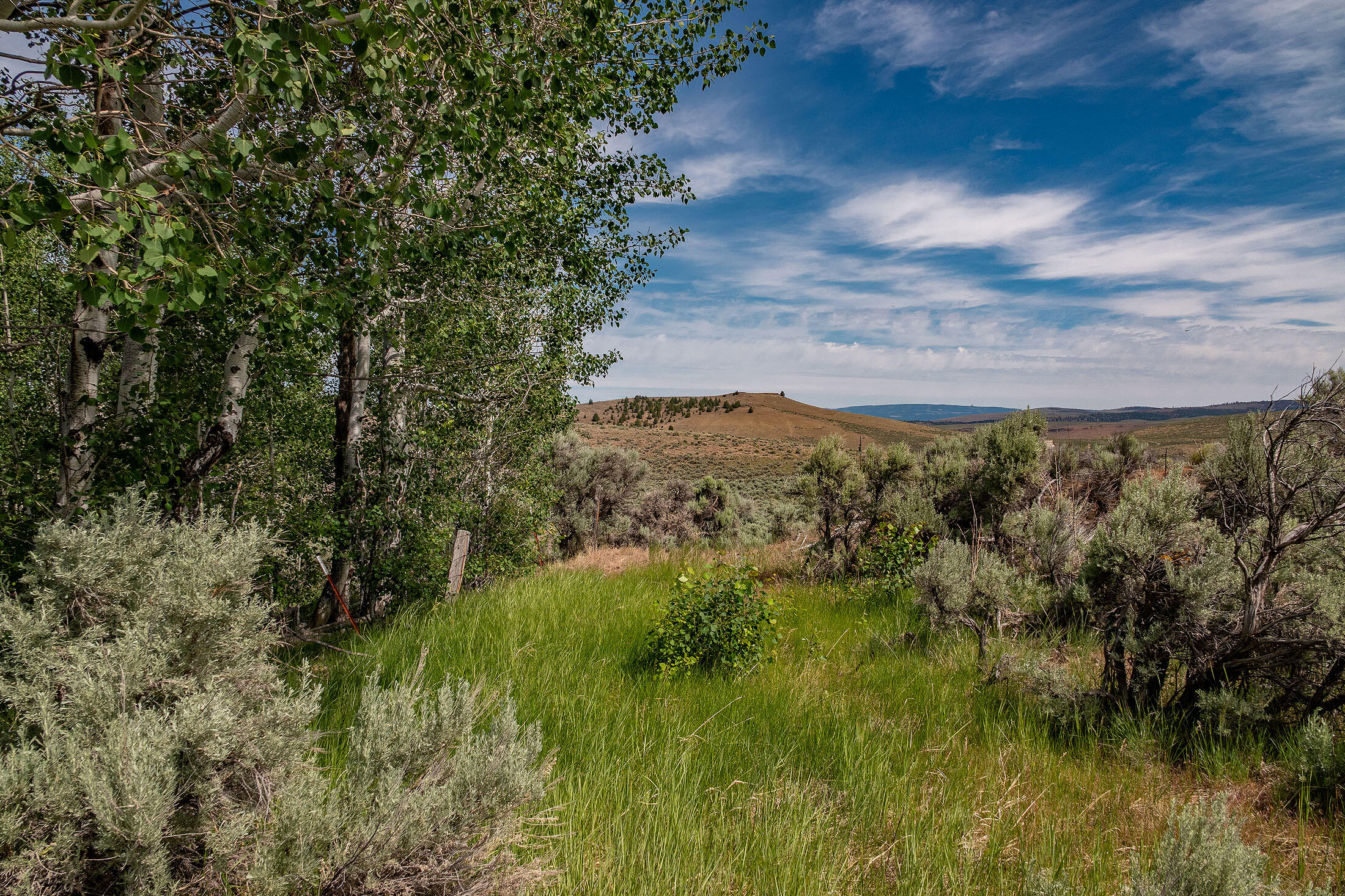 Tl 3700 Suplee Highway, Paulina, Oregon, 97751, United States, ,Land,For Sale,Tl 3700 Suplee Highway,1511106