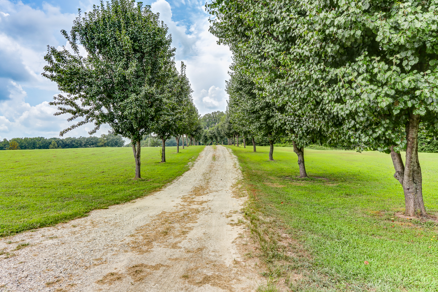 Appomattox, Virginia, 24522, United States, 4 Bedrooms Bedrooms, ,Residential,For Sale,1905819