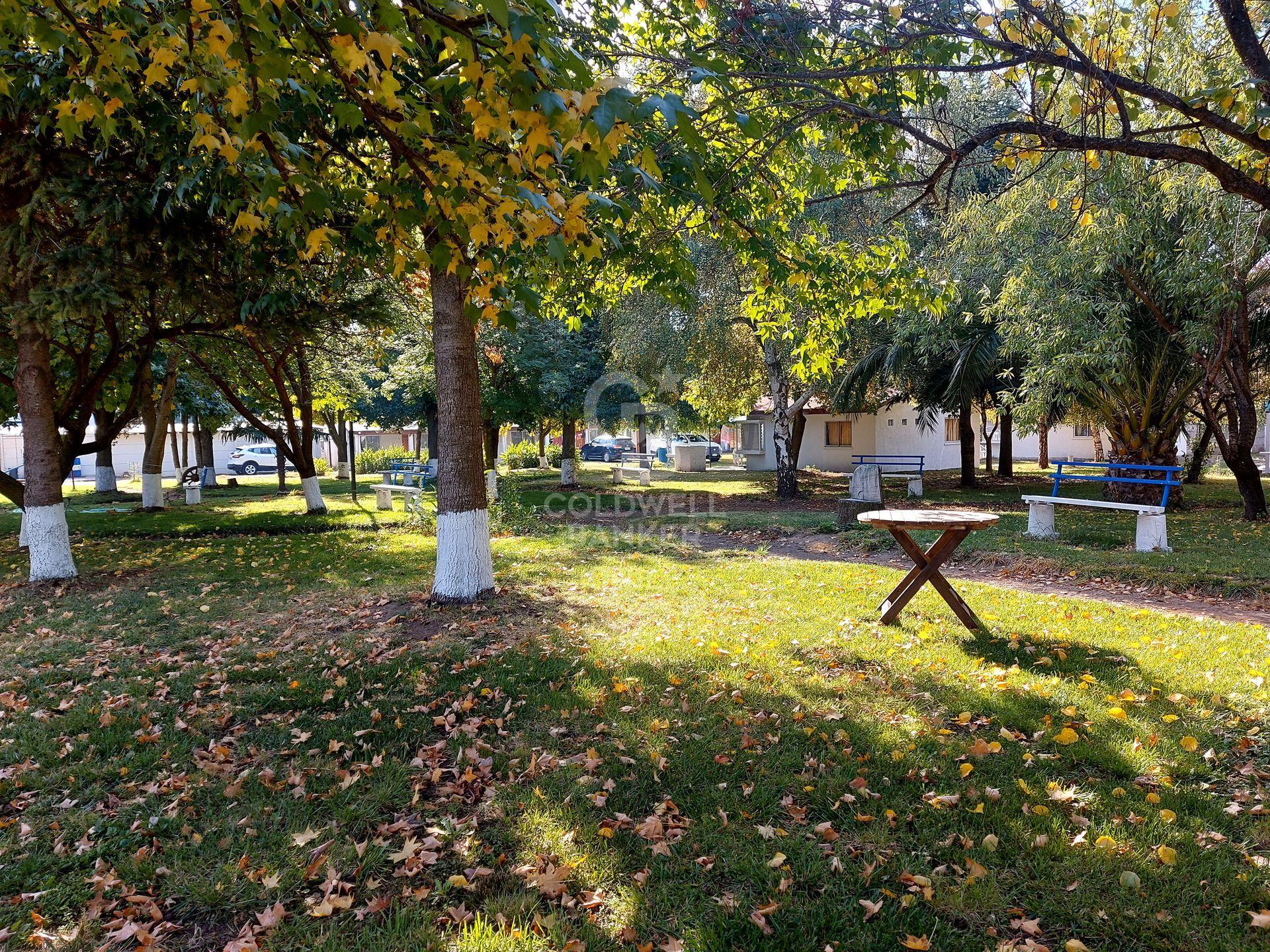 Quillón, Chile, ,Residential,For Sale,1796909