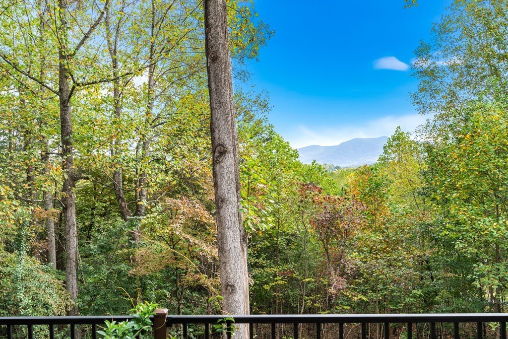 Young Harris, Georgia, 30582, United States, 4 Bedrooms Bedrooms, ,4 BathroomsBathrooms,Residential,For Sale,1979770