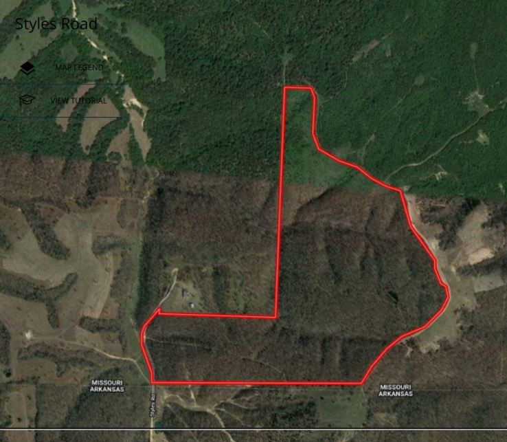 Noel, Missouri, 64854, United States, ,Land,For Sale,1785483