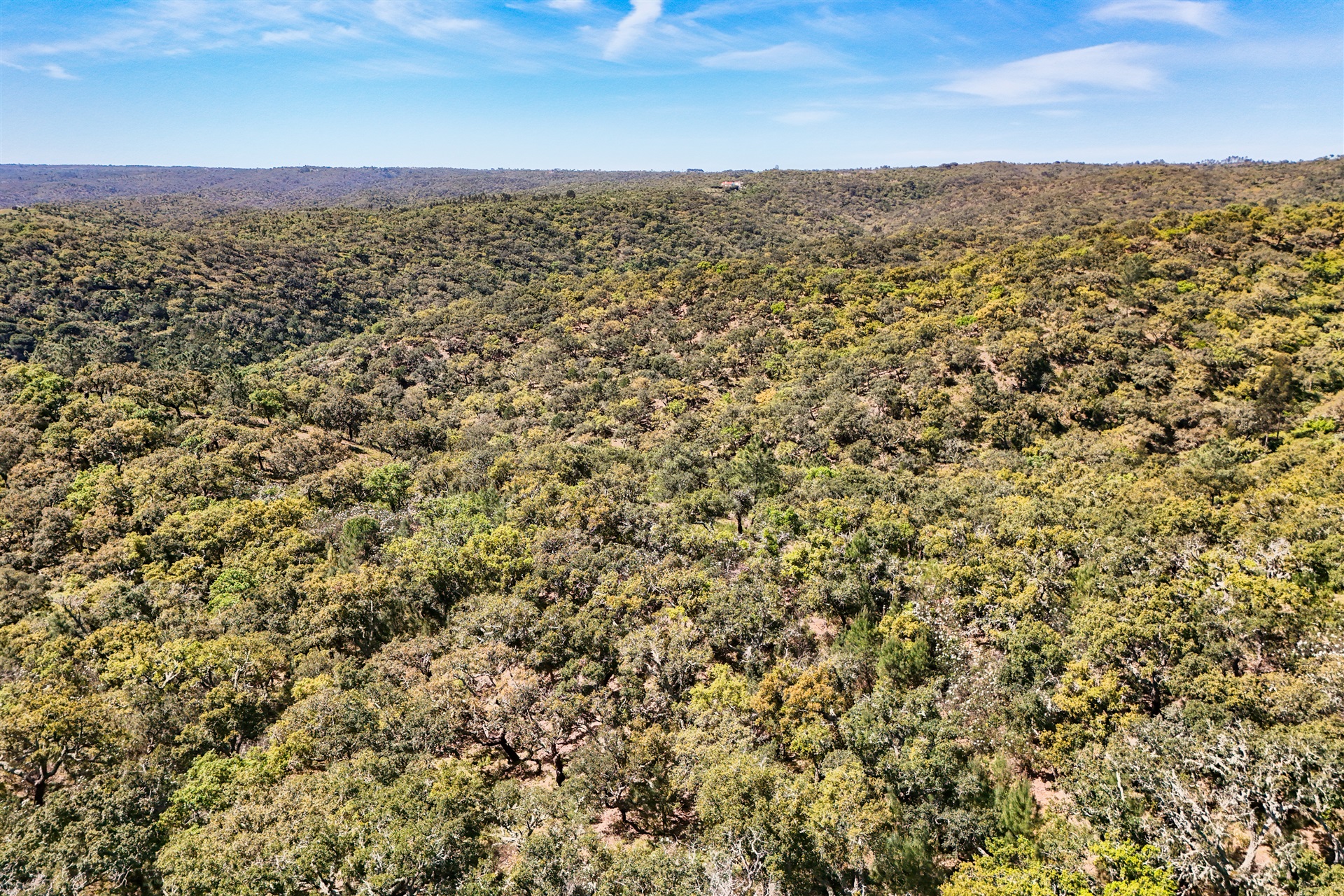  Real estate land for Sale - 物件實景